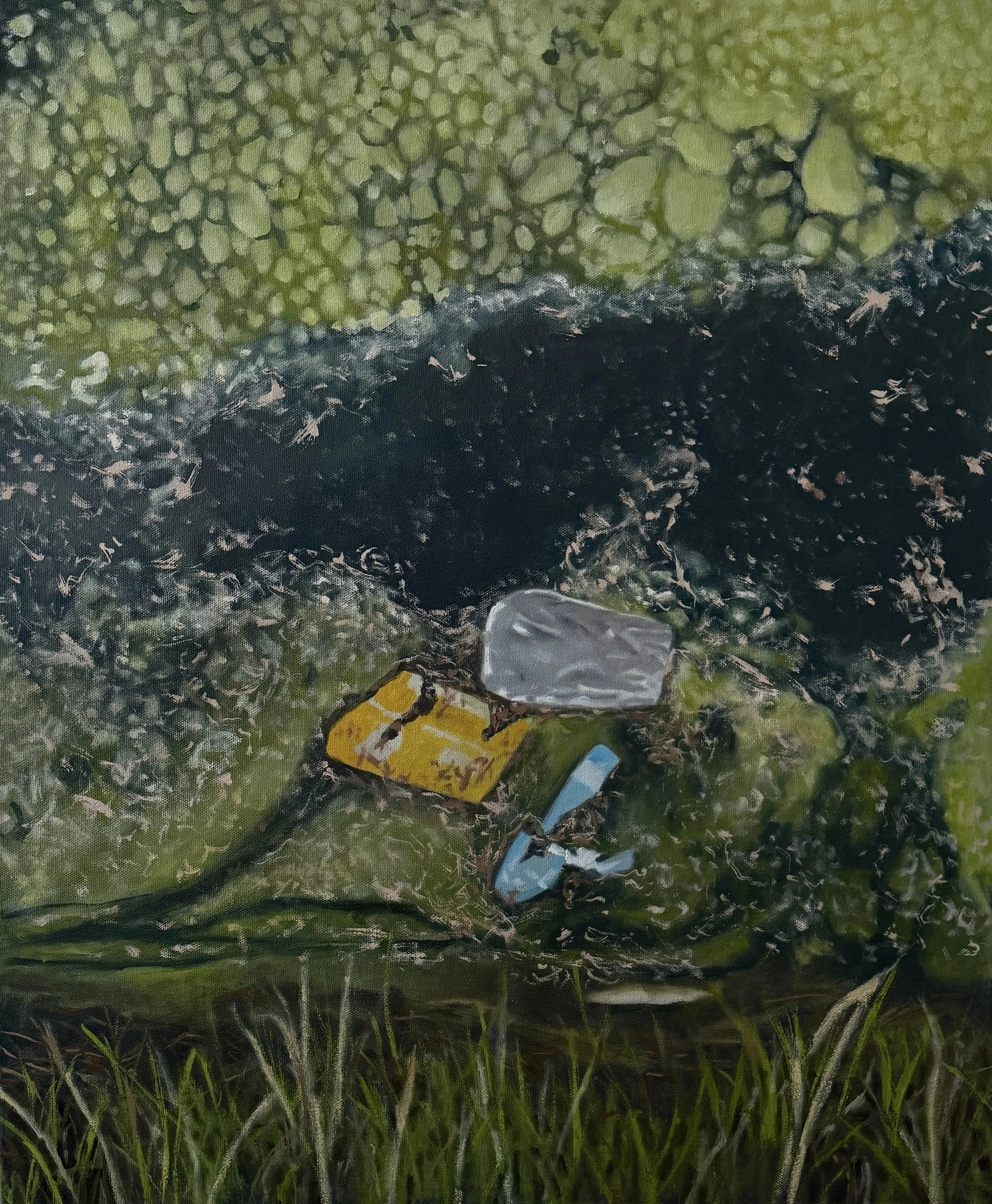 Trash Swamp 1
Oil on canvas
20 × 24"
$800