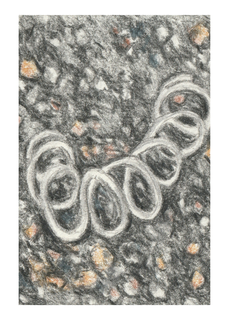 74.png
