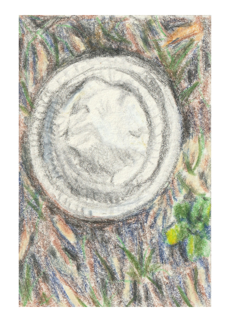 54.png