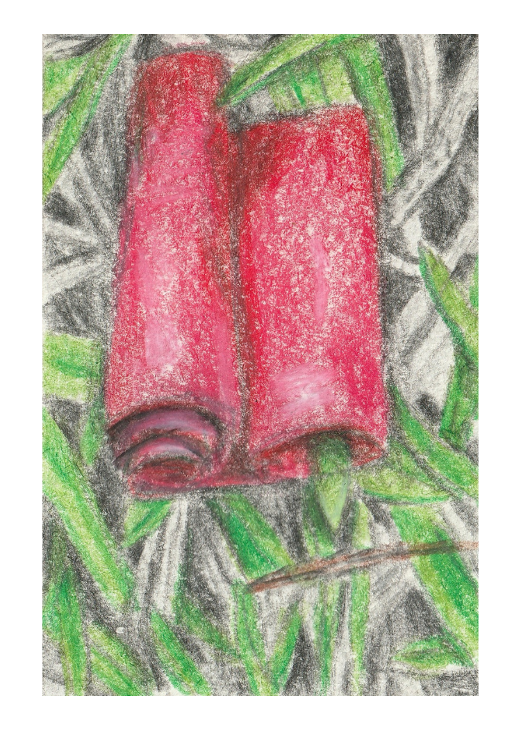 65.png