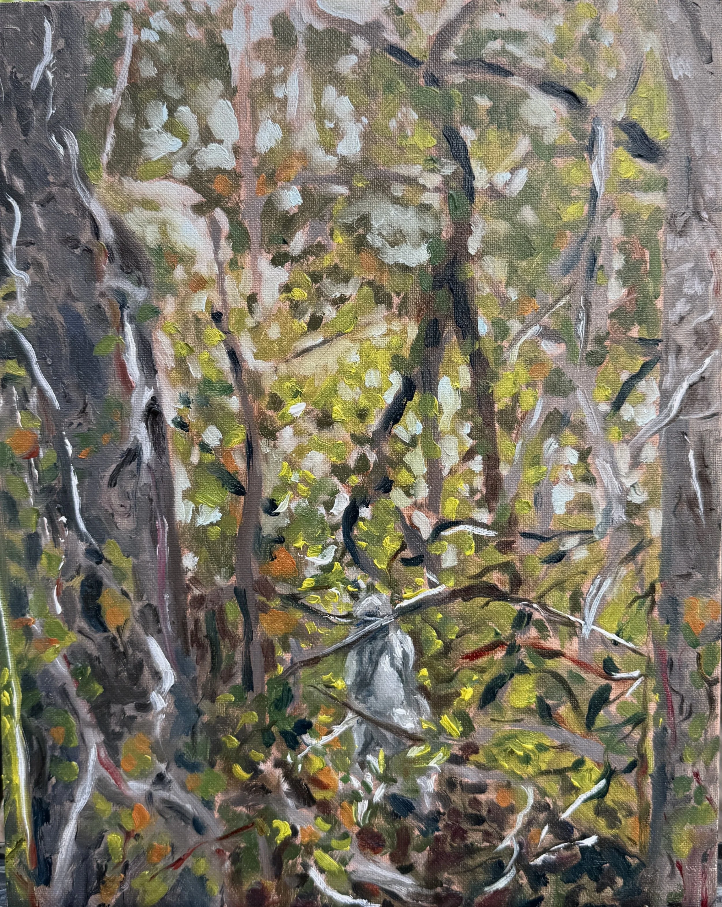 Out Back
Oil on canvas panel
11 × 14"
$400