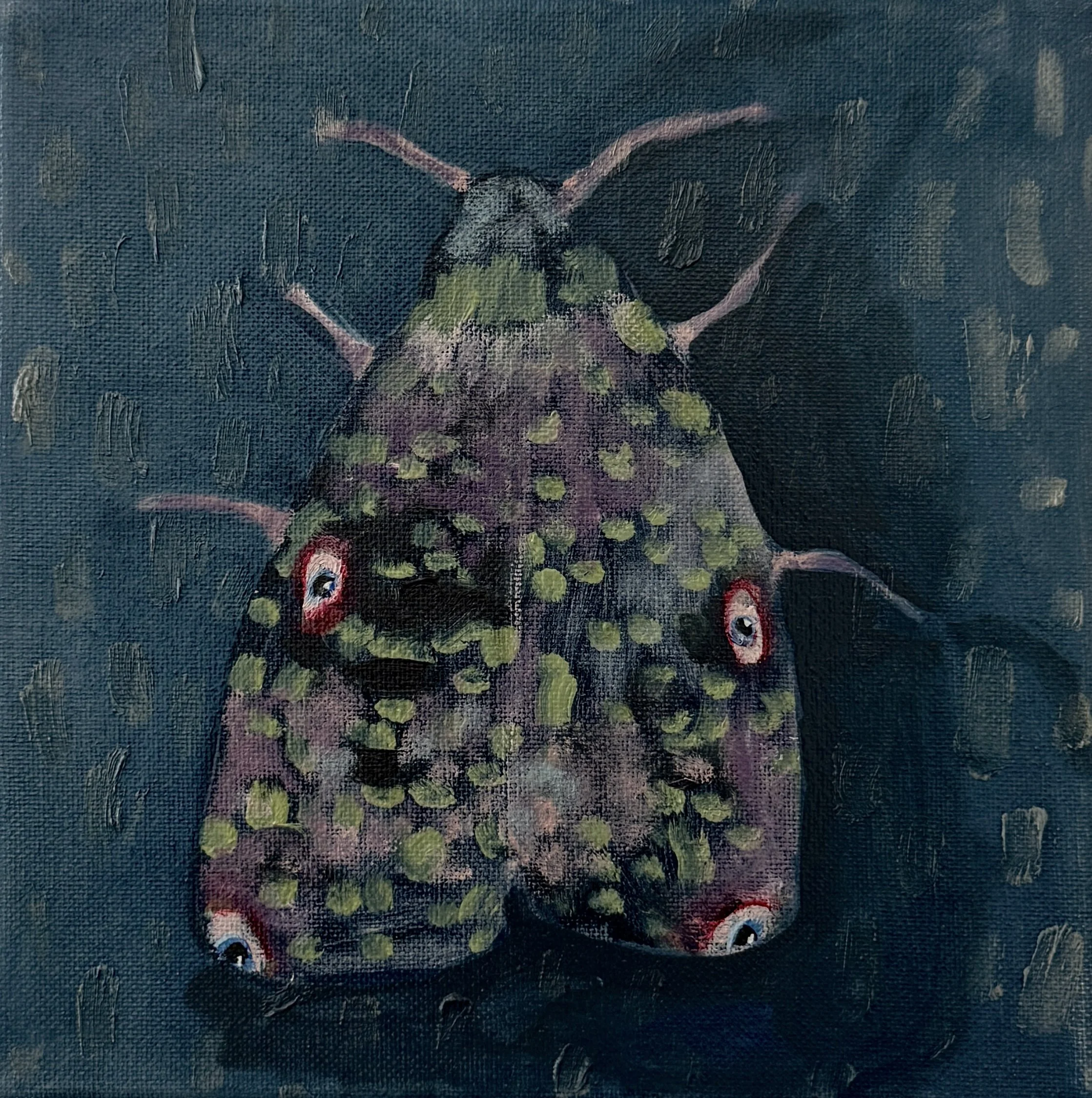 Moth 4
Oil on canvas
8 × 8"
$300