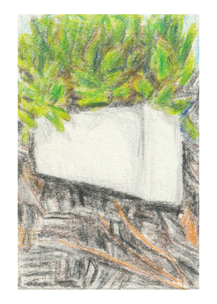 113.png