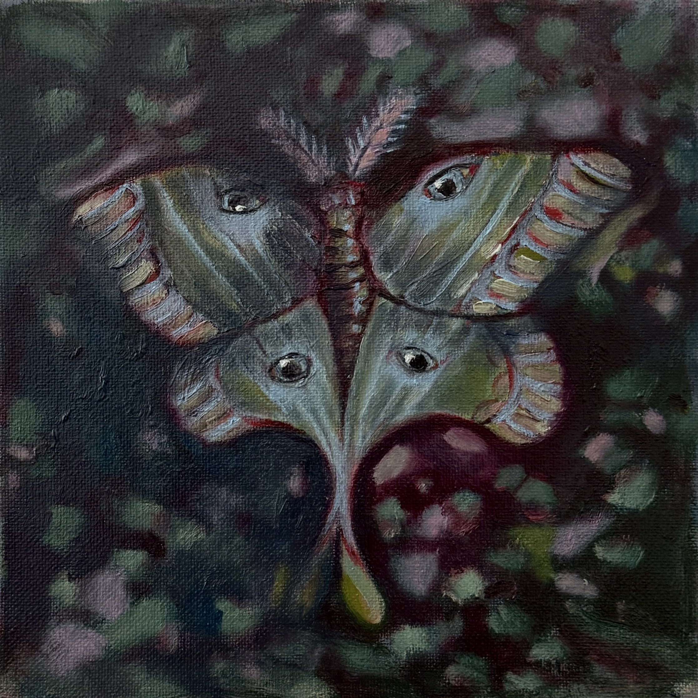 Moth 9
Oil on canvas
8 × 8"
SOLD