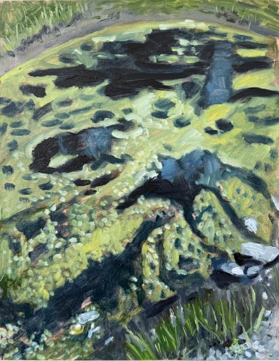 Trash Swamp Study
Oil on canvas panel
11 × 14"
$400