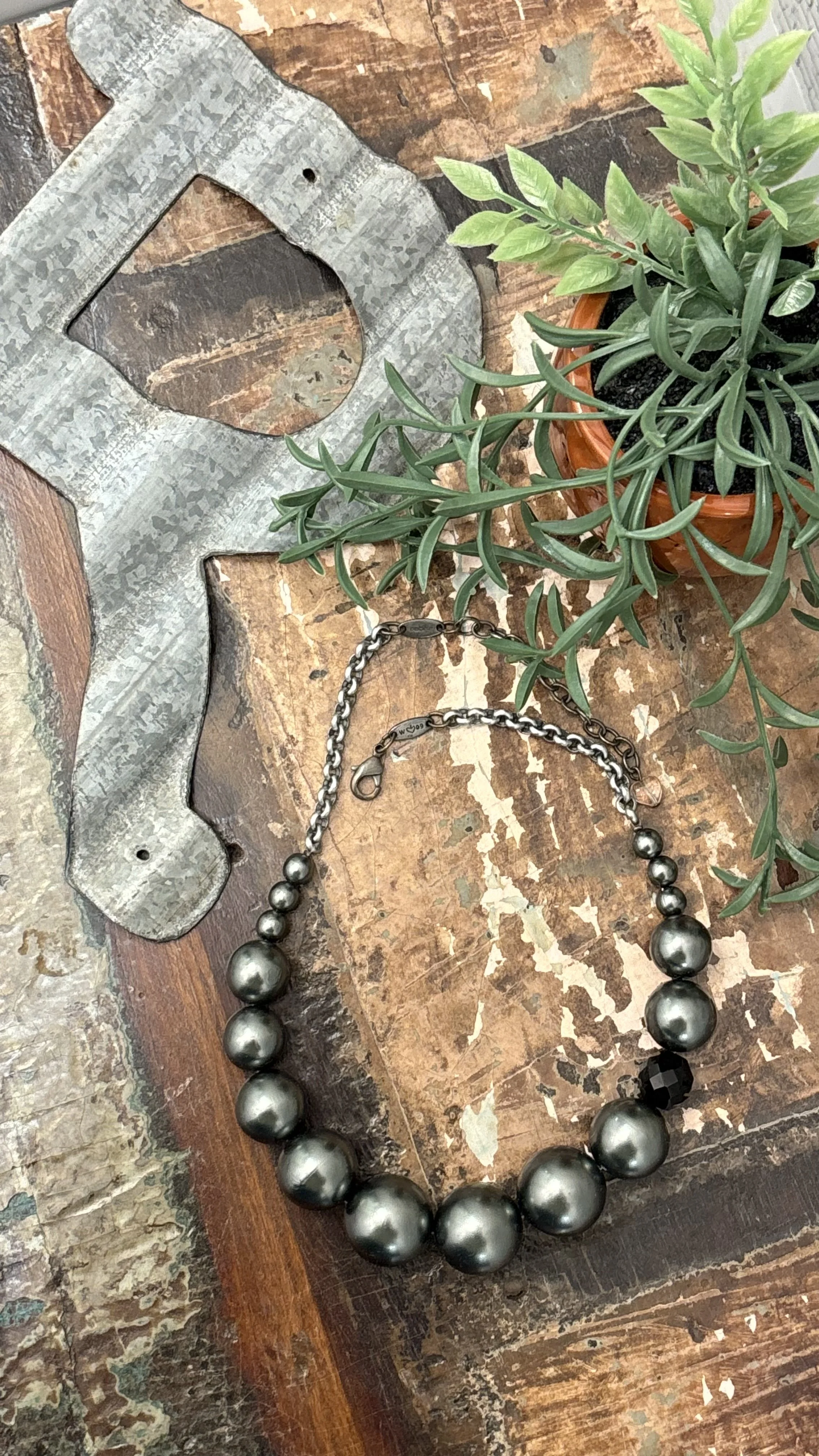 A silver-tone necklace with large dark gray beads, a potted green plant with elongated leaves, a rustic metal object, and a weathered wooden surface.