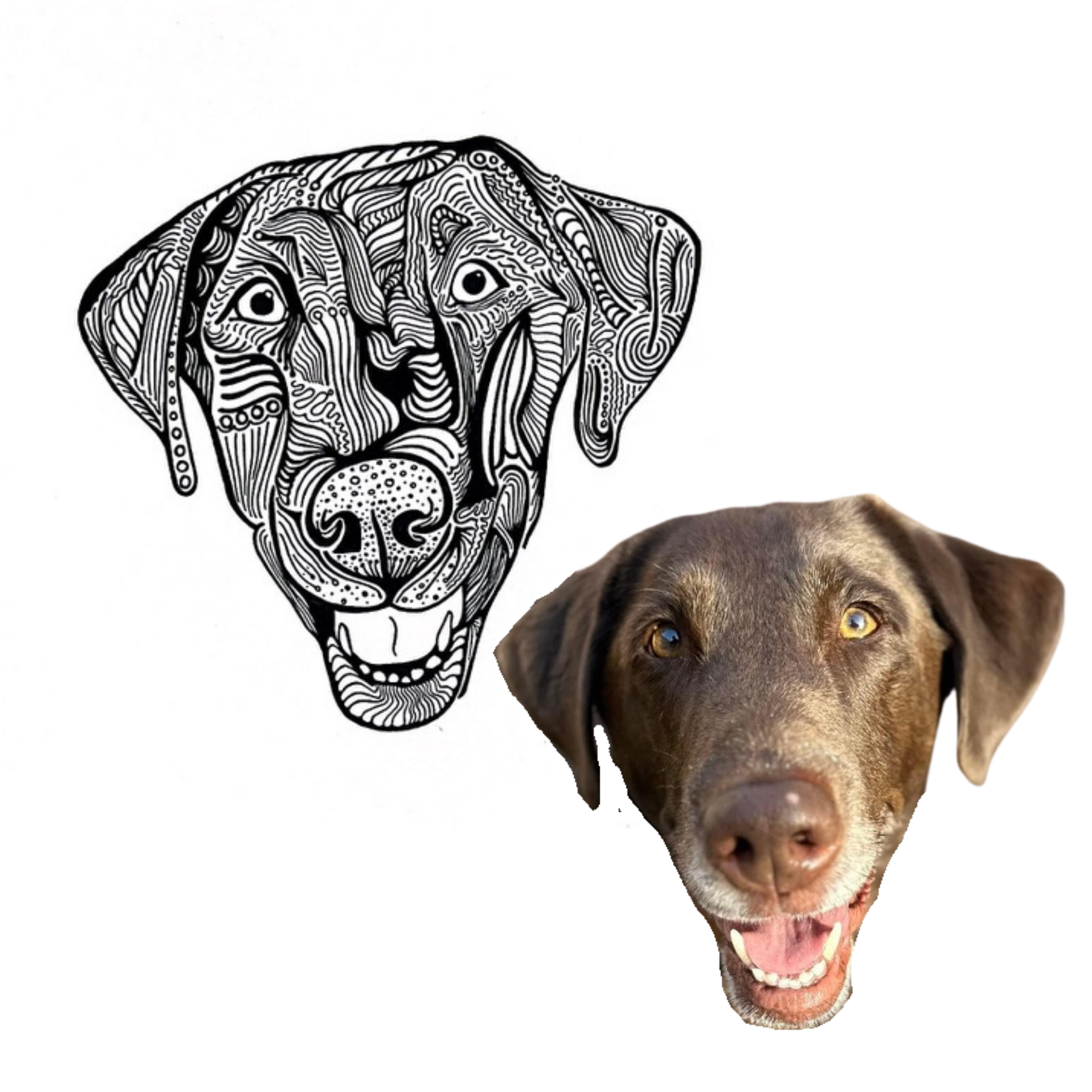 23.png