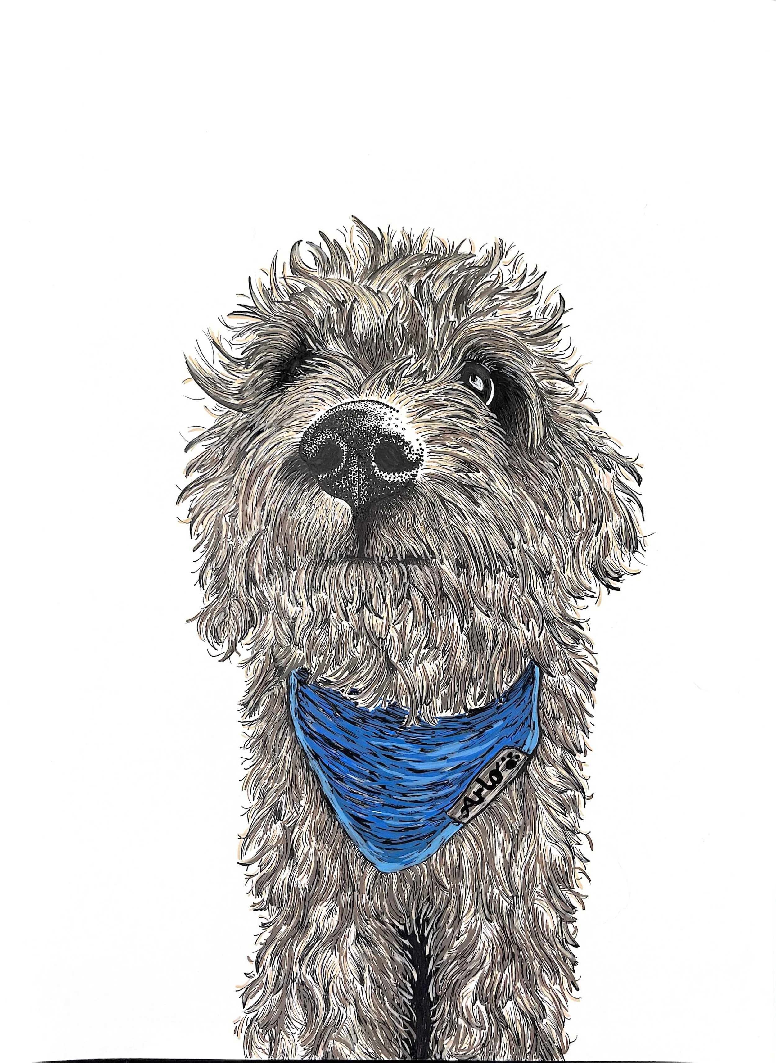 Arlo - Custom Hand-Drawn Pet Portrait