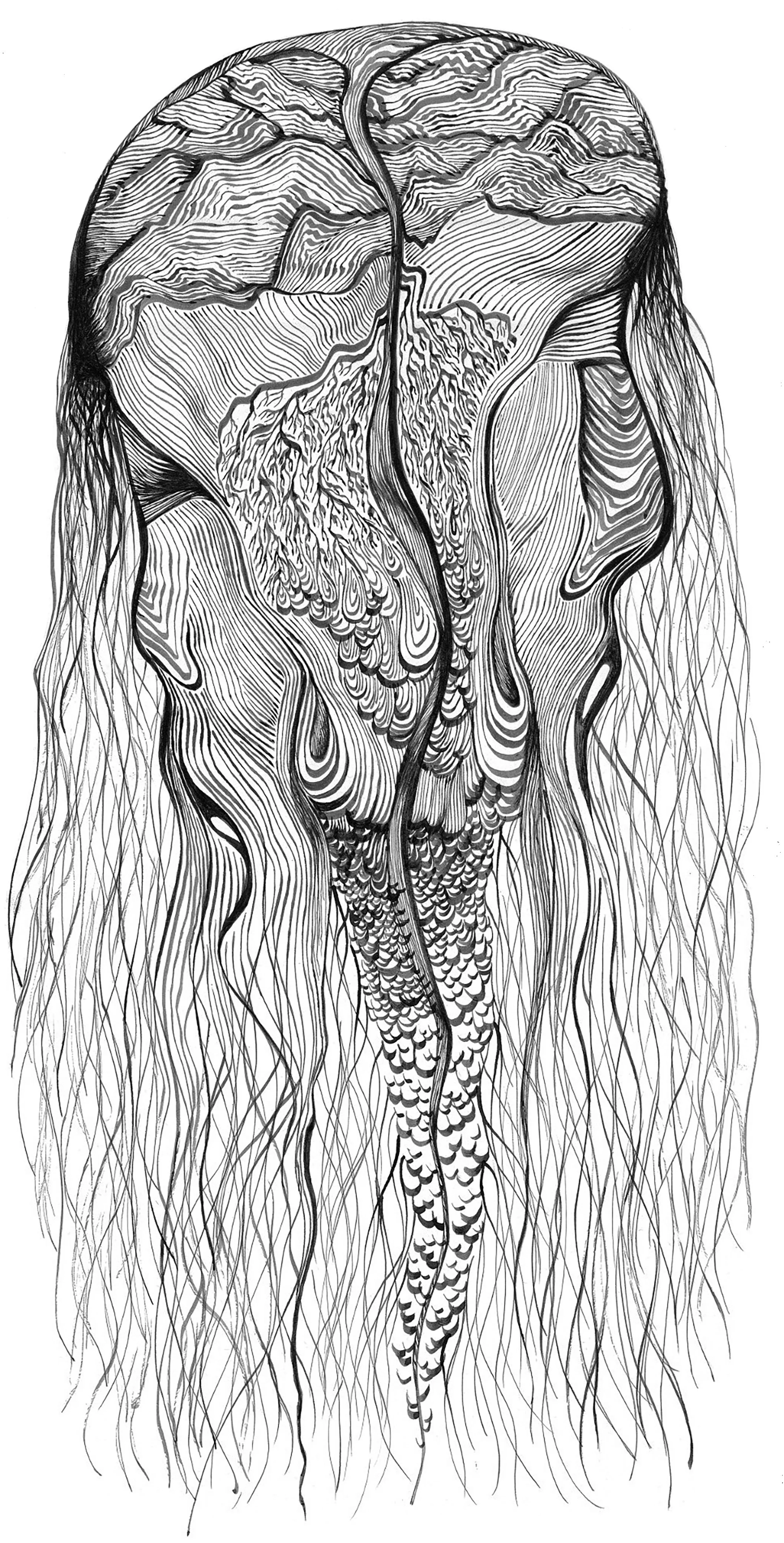 Jellyfish — Abstract Calligraphy Ink Drawing