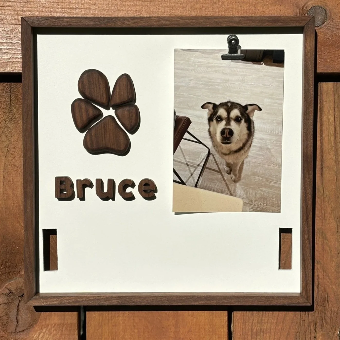 Bruce+Dog.jpg