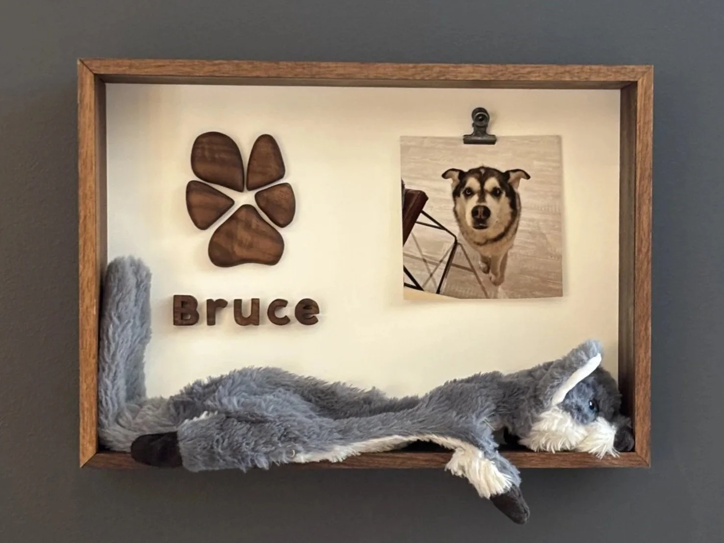 Bruce+Toy.jpg