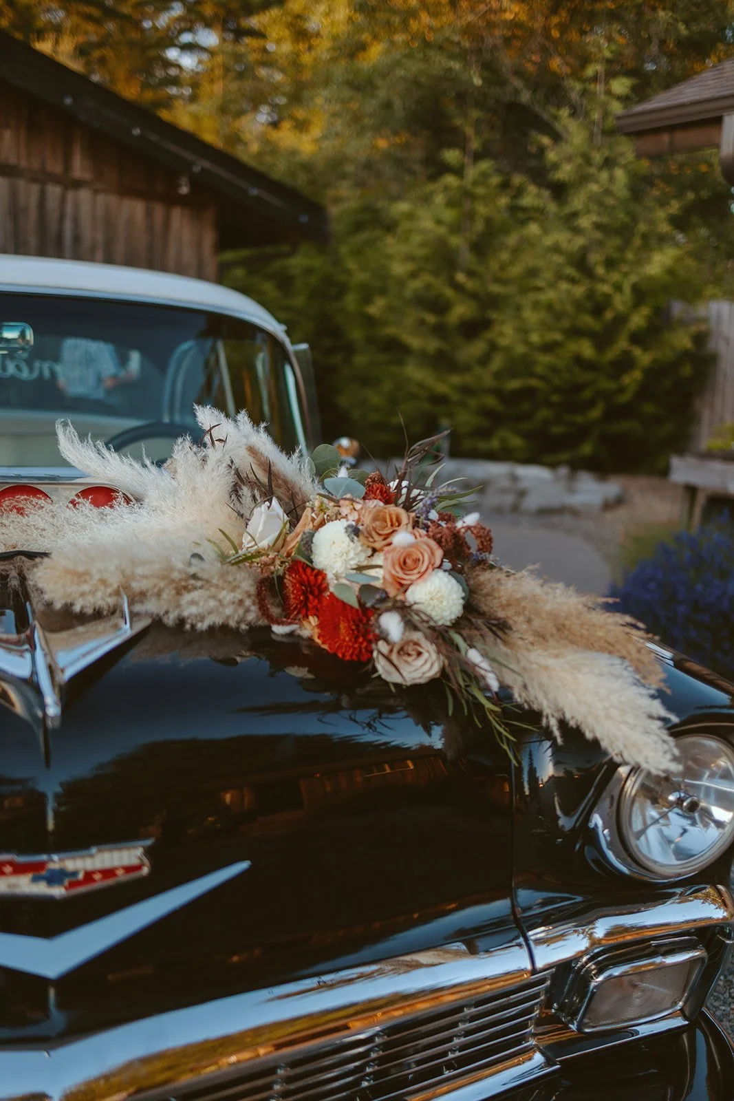 Alyson Marie Visuals, Hillside Farm