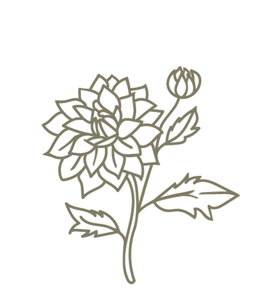 hand drawn dahlia flower icon as part of Love Letter's branding