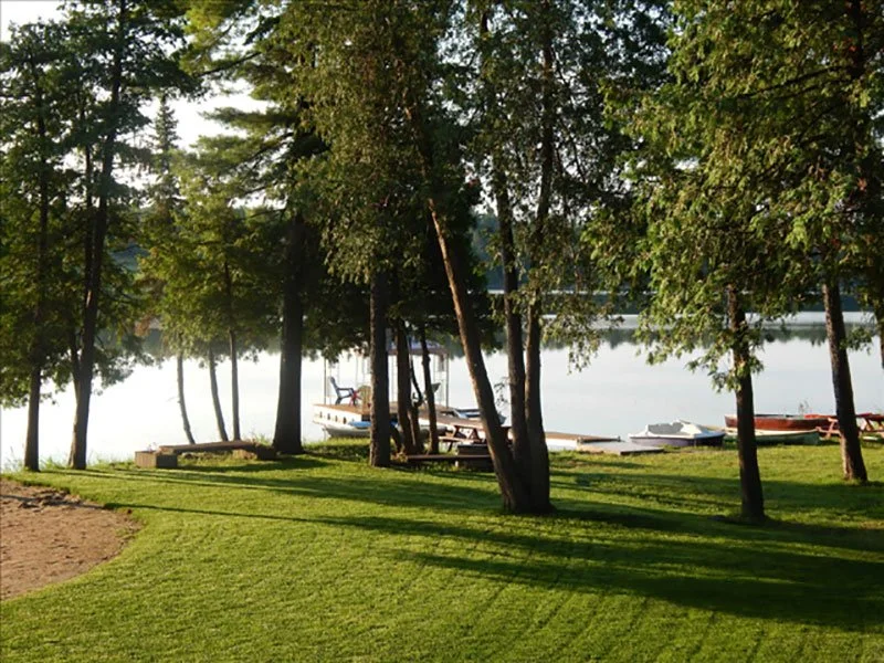 A lakeside scene with a grassy area, several trees, and boats docked along the shoreline under a clear sky.