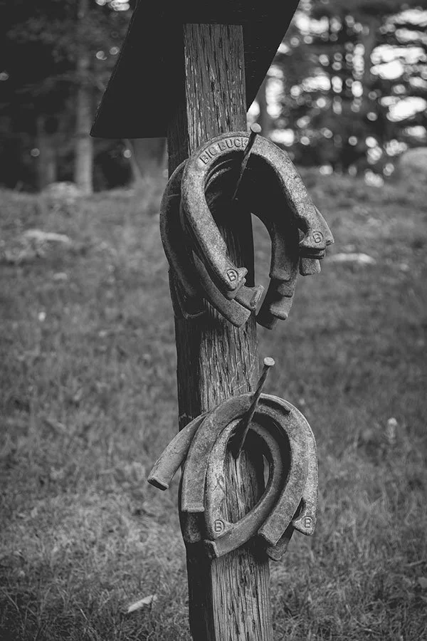 Black and white photo of two horseshoes attached to a wooden post with a wire, set outdoors on grass with trees in the background.