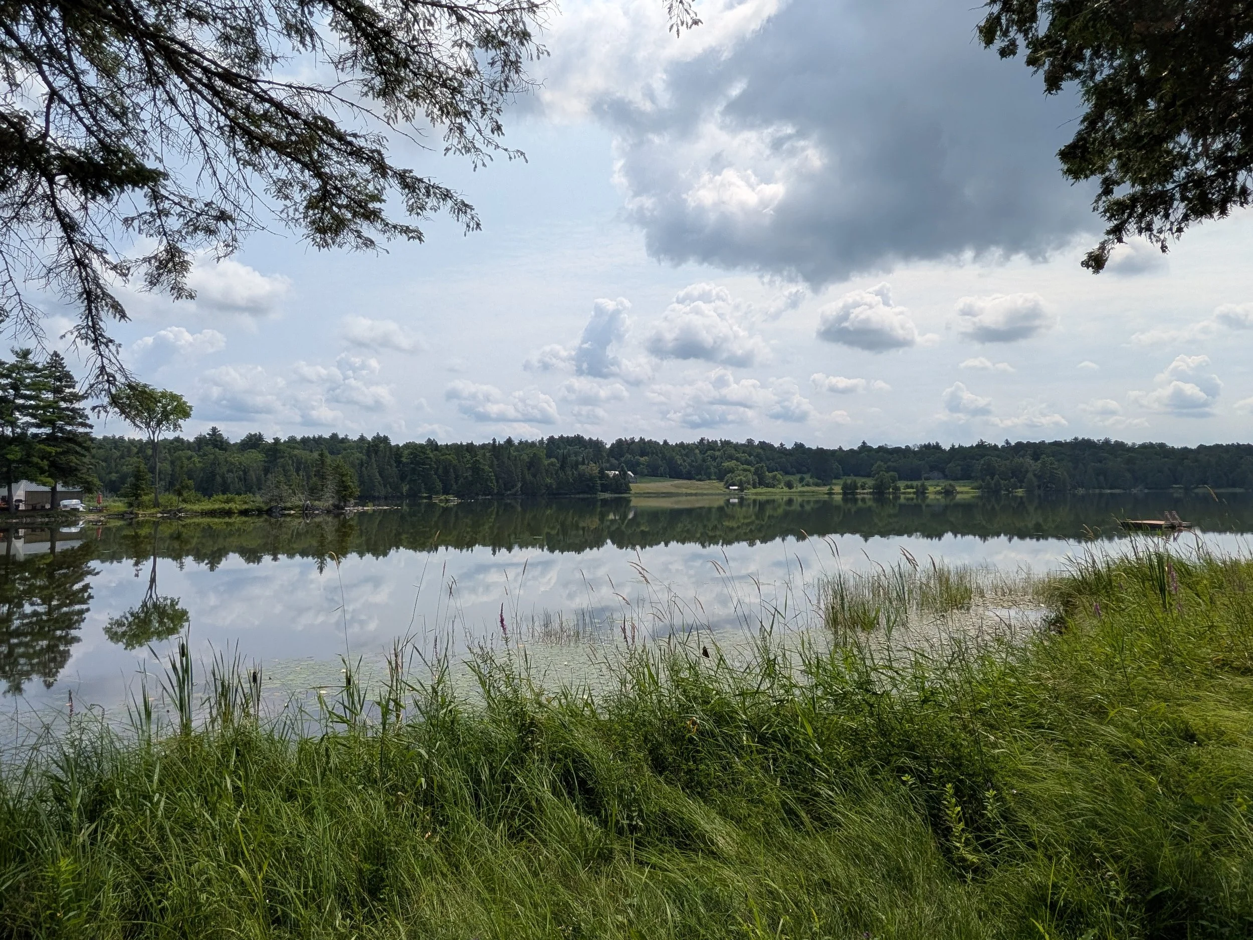 A lake surrounded by trees with green foliage, reflecting the sky filled with fluffy clouds and some darker clouds, under a partly cloudy sky. Grass and reeds are in the foreground.