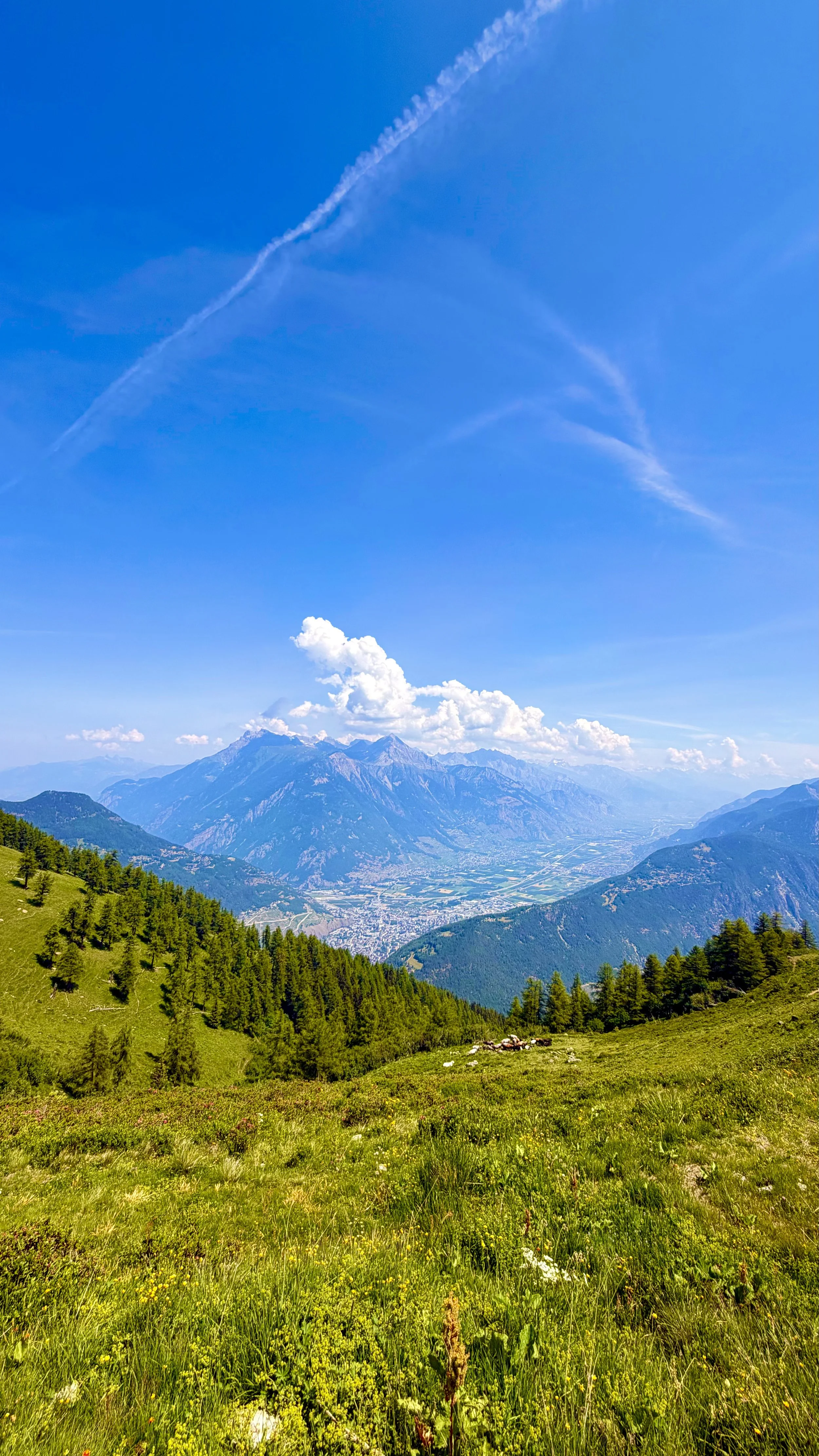 Stage 5 — Champex-Lac to Trient (via Col de Bovine)