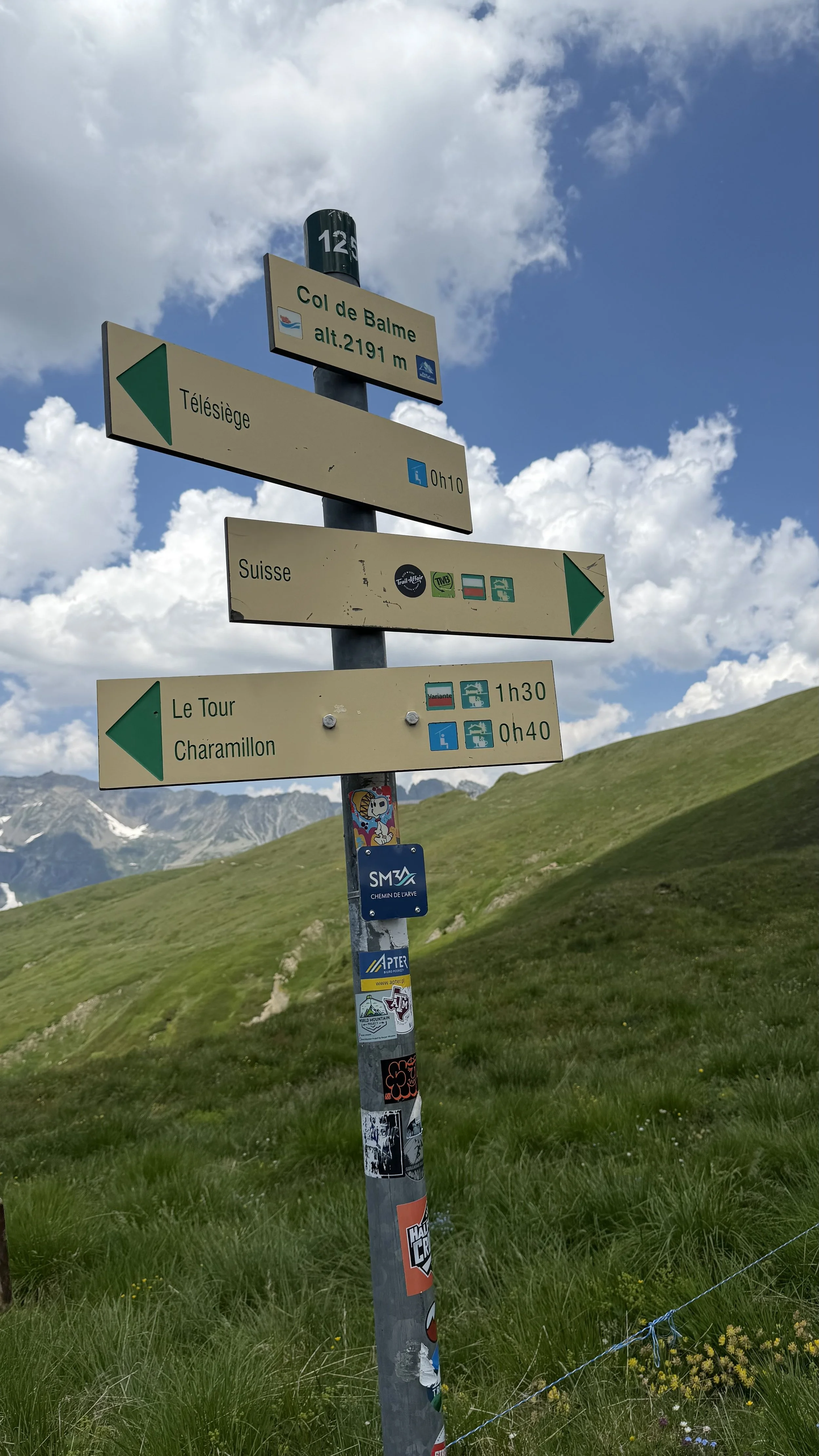Stage 6 — La Forclaz to Col de Balme to Le Tour 