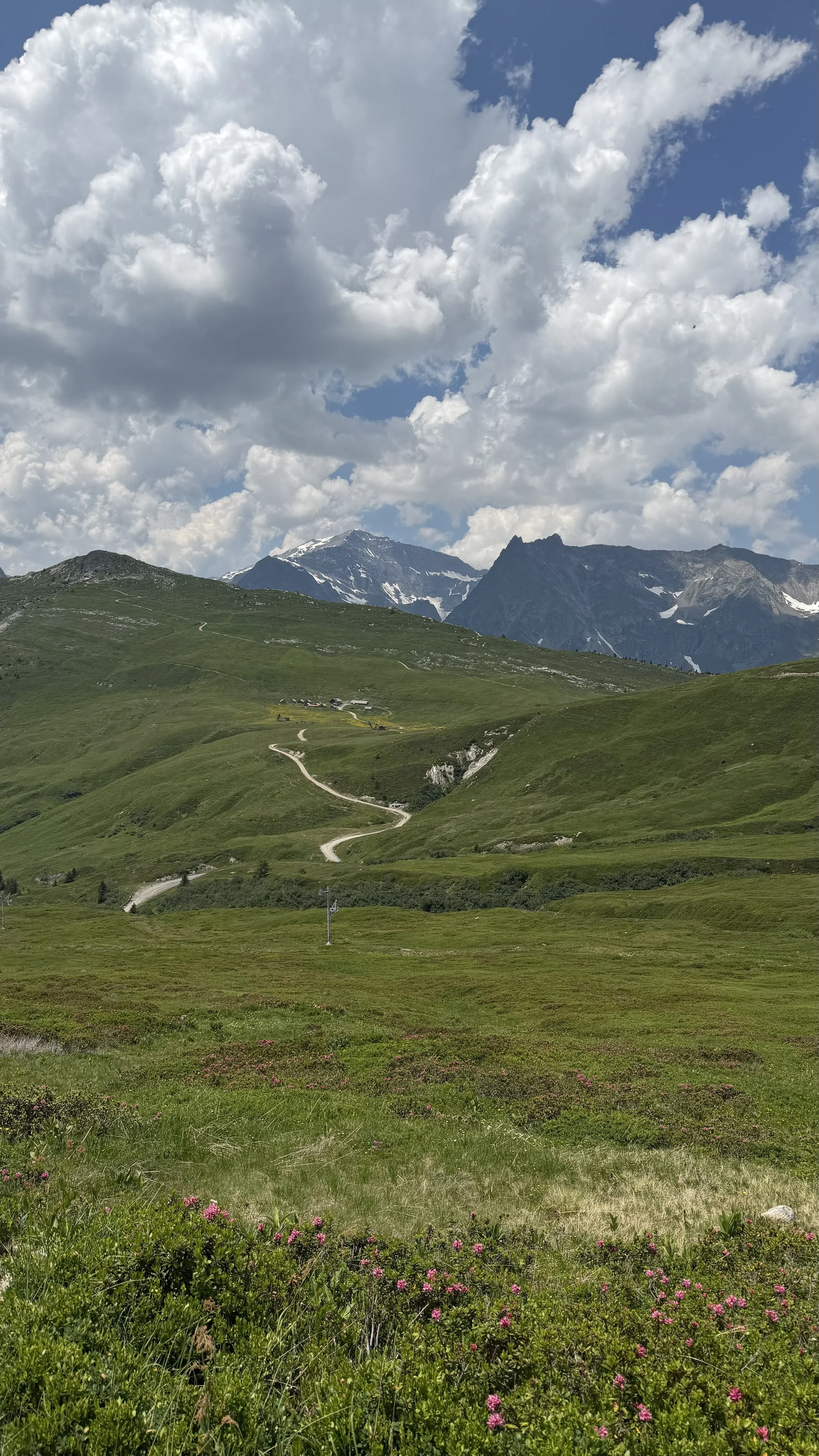 TMB Stage 6: Trient to Argentière