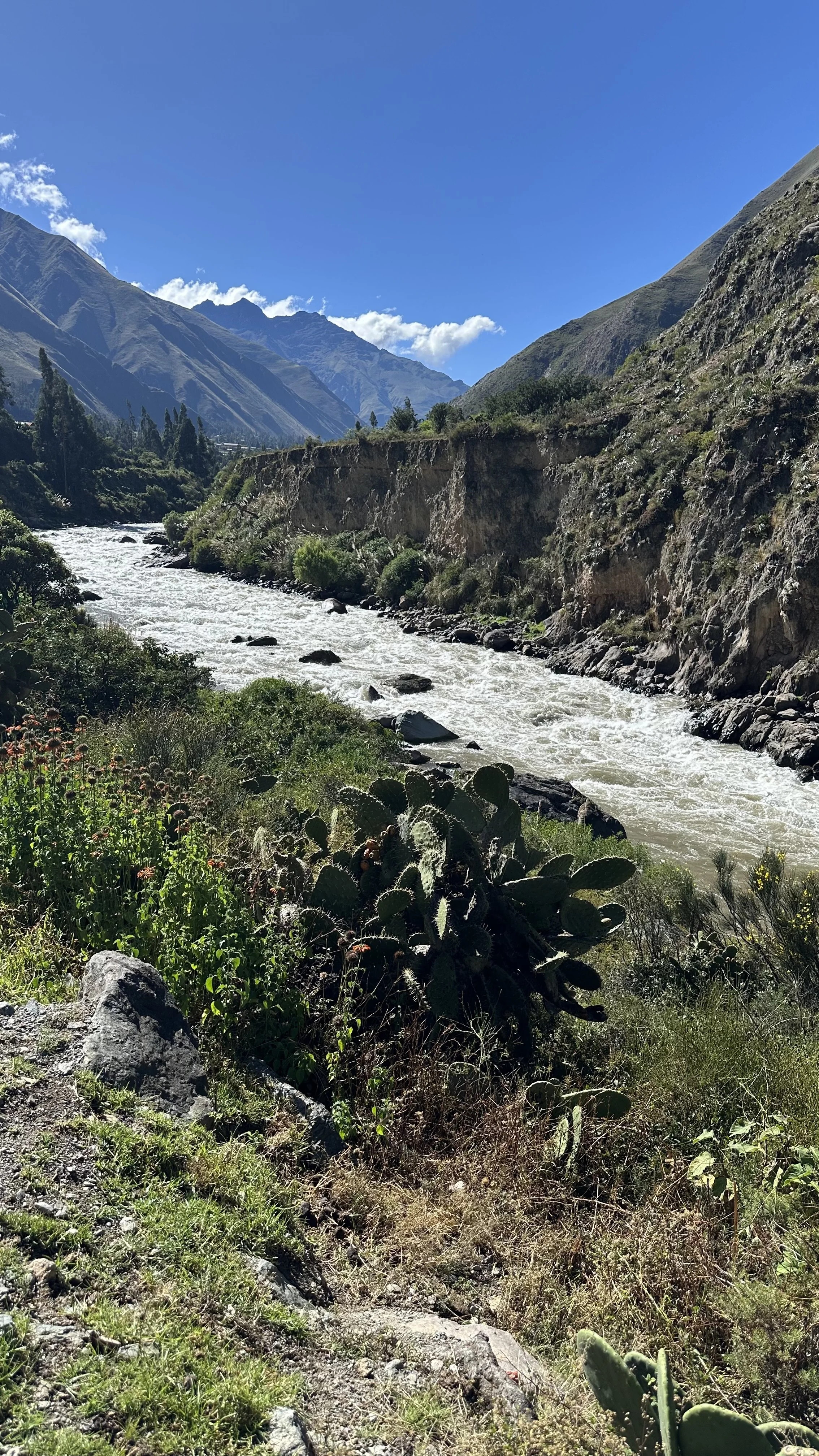 IMG_0744.jpeg