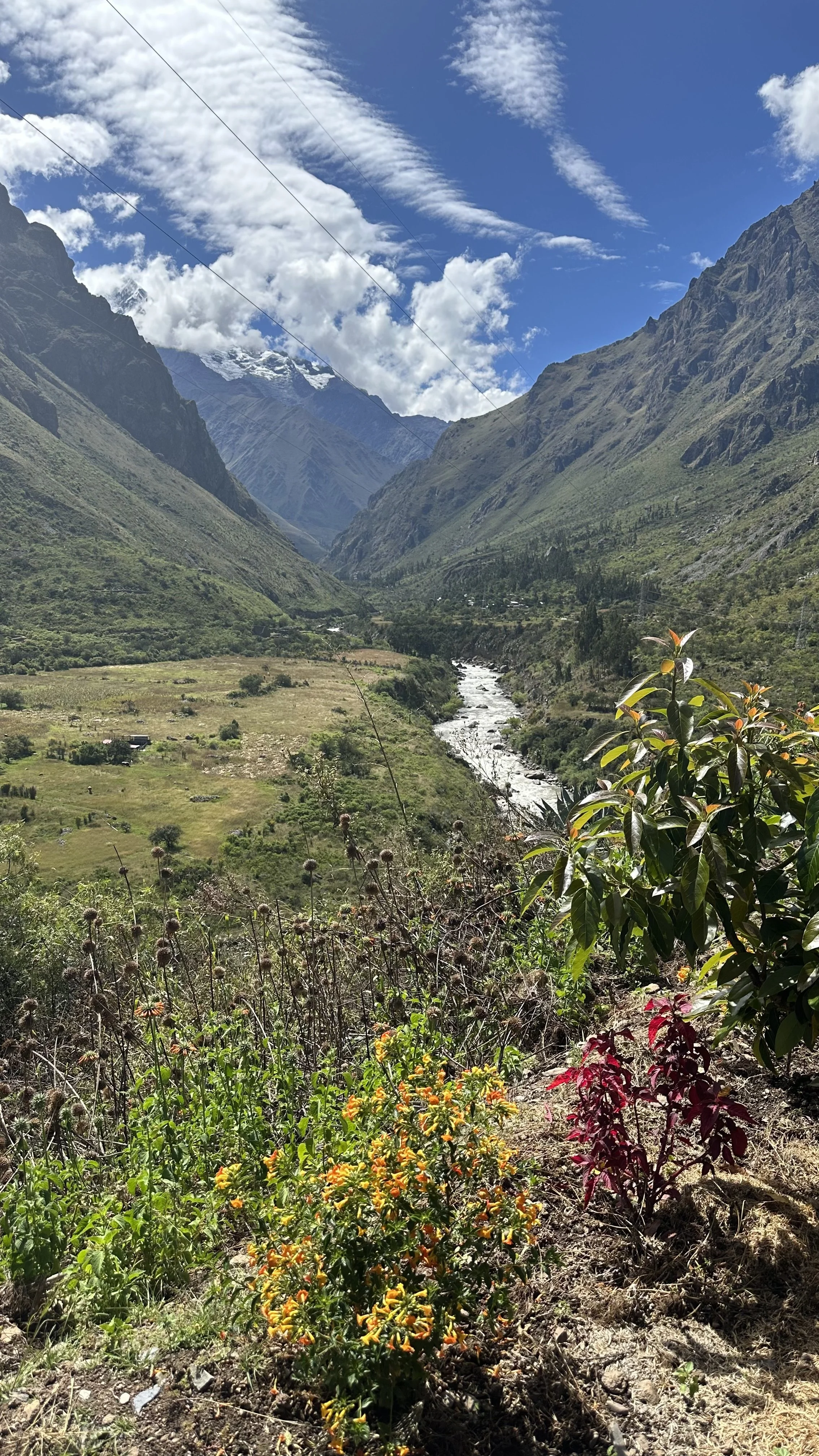 IMG_0780.jpeg