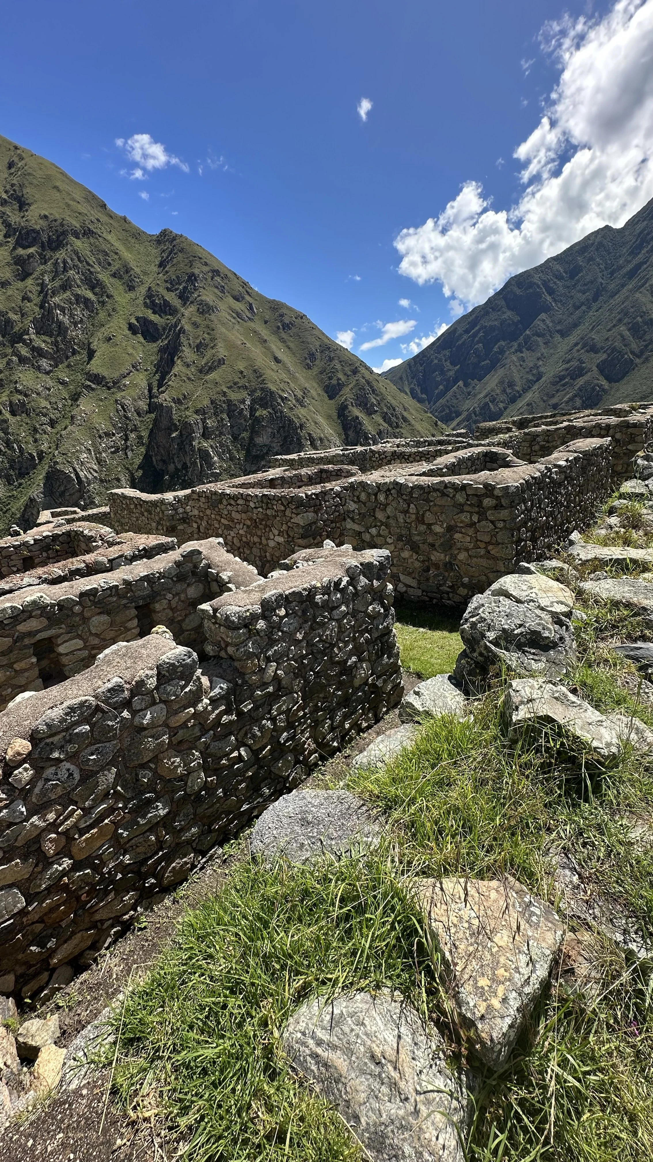 IMG_0796.jpeg