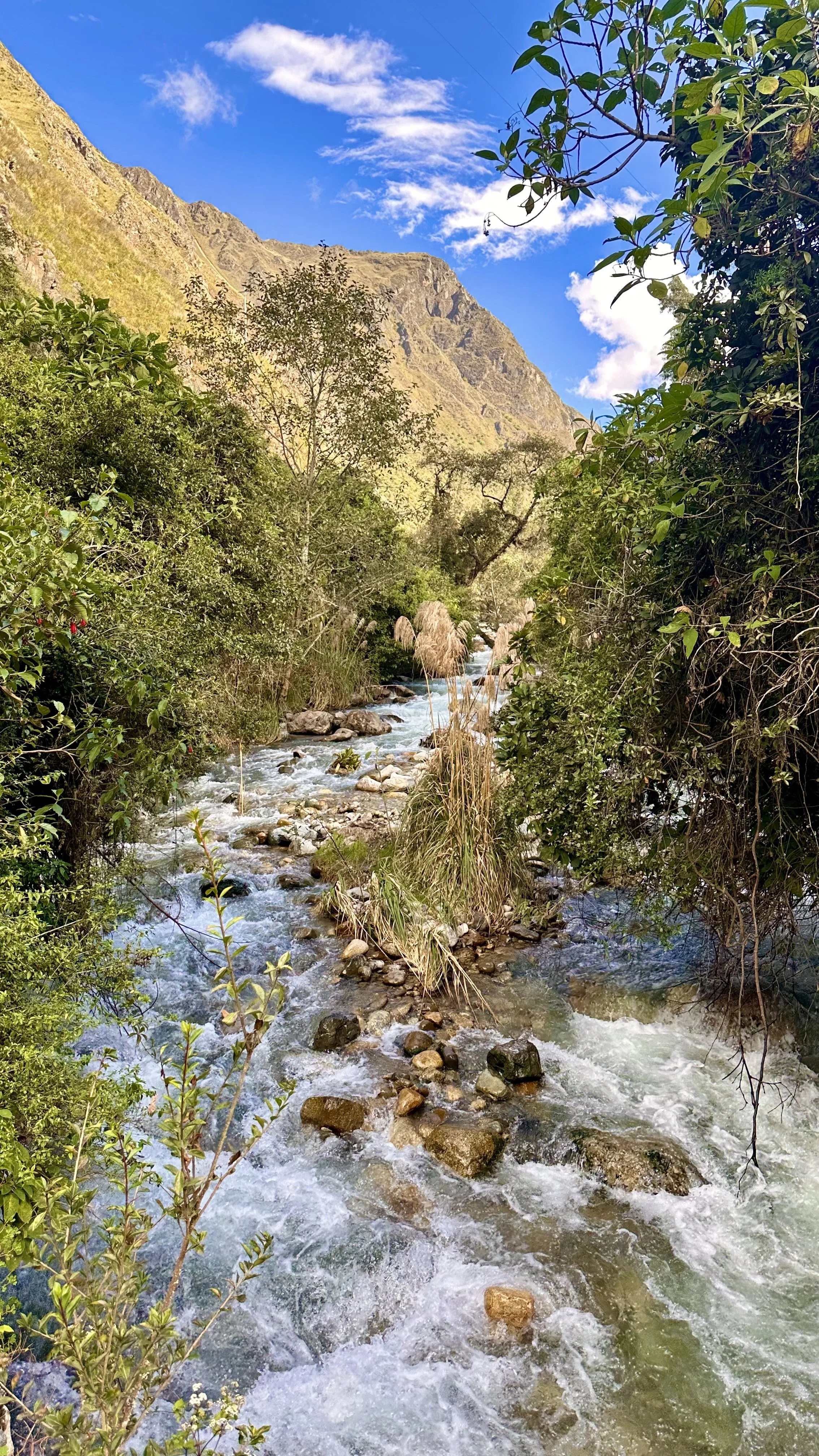IMG_0807.jpeg
