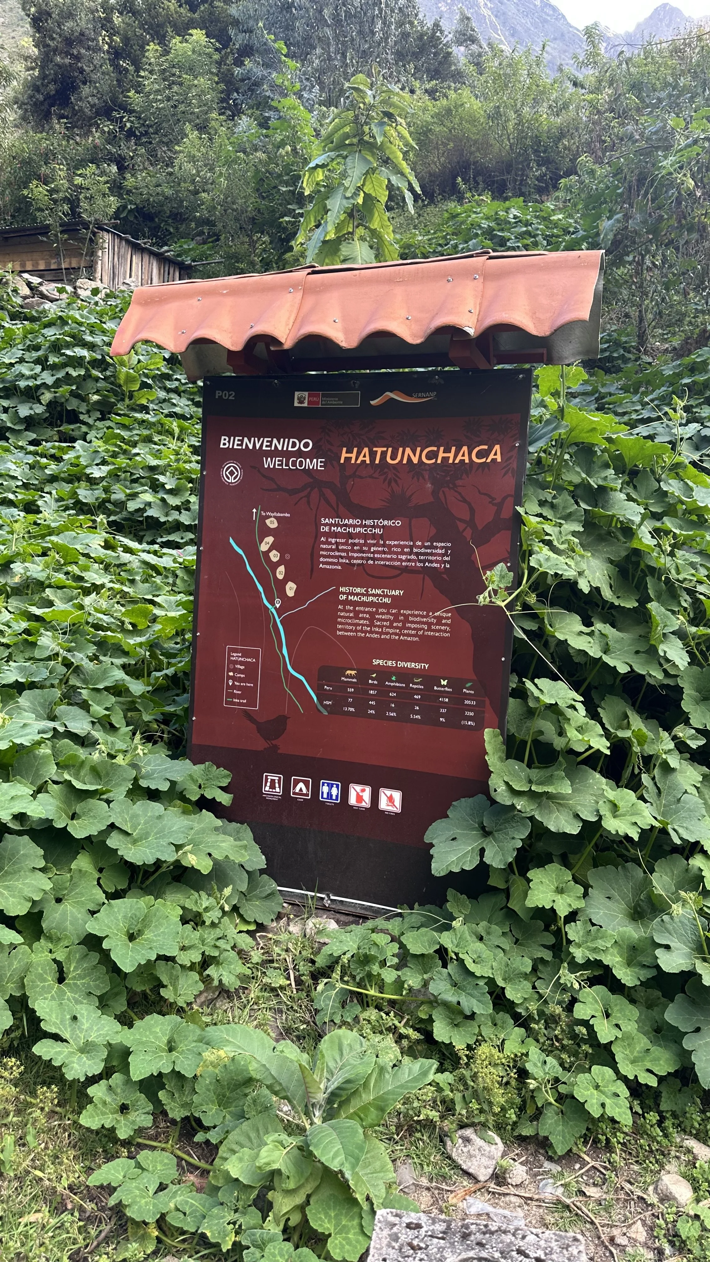 IMG_0810.jpeg