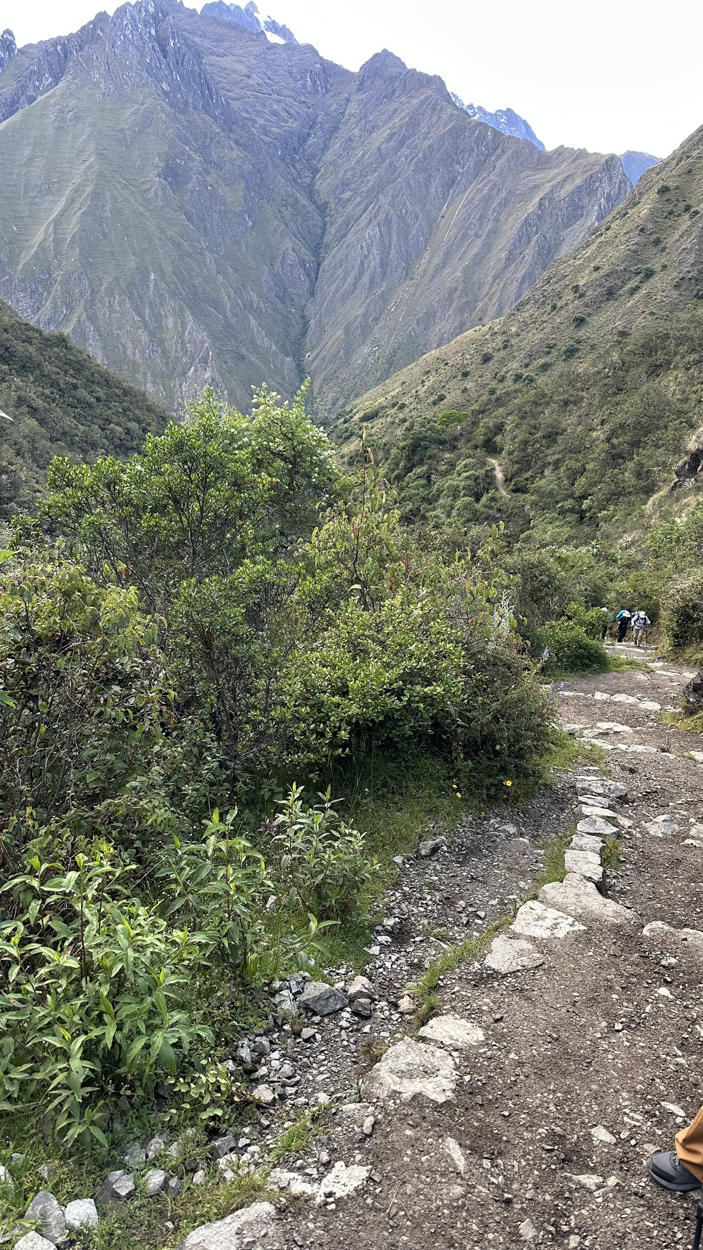 IMG_0831.jpeg