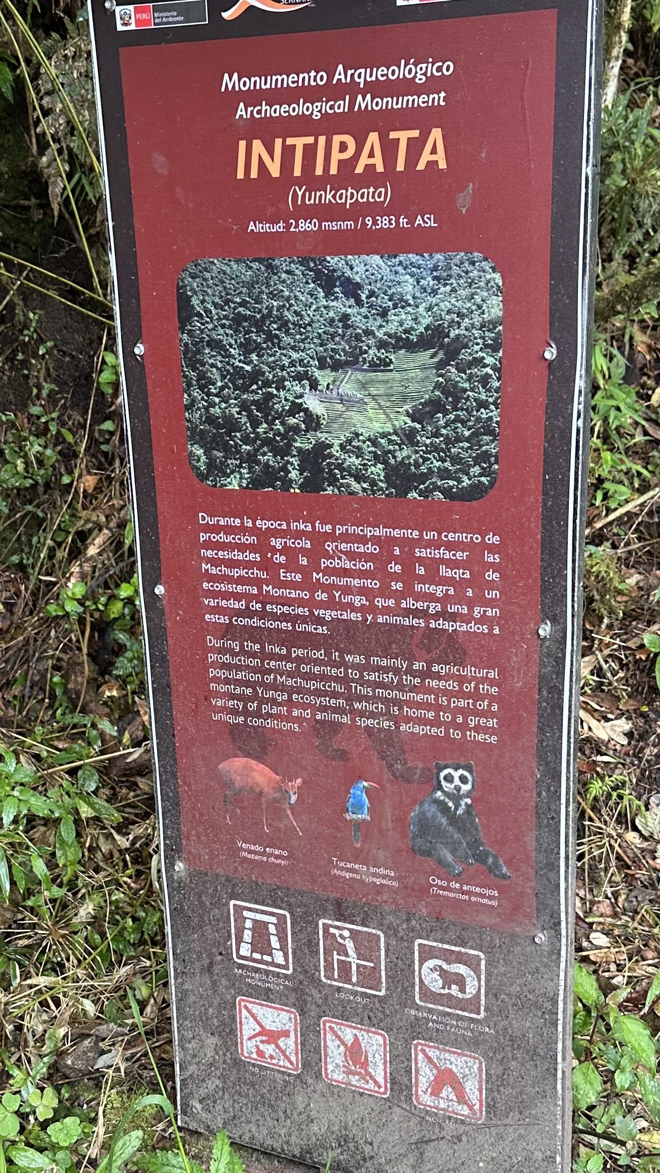 IMG_0965.jpeg