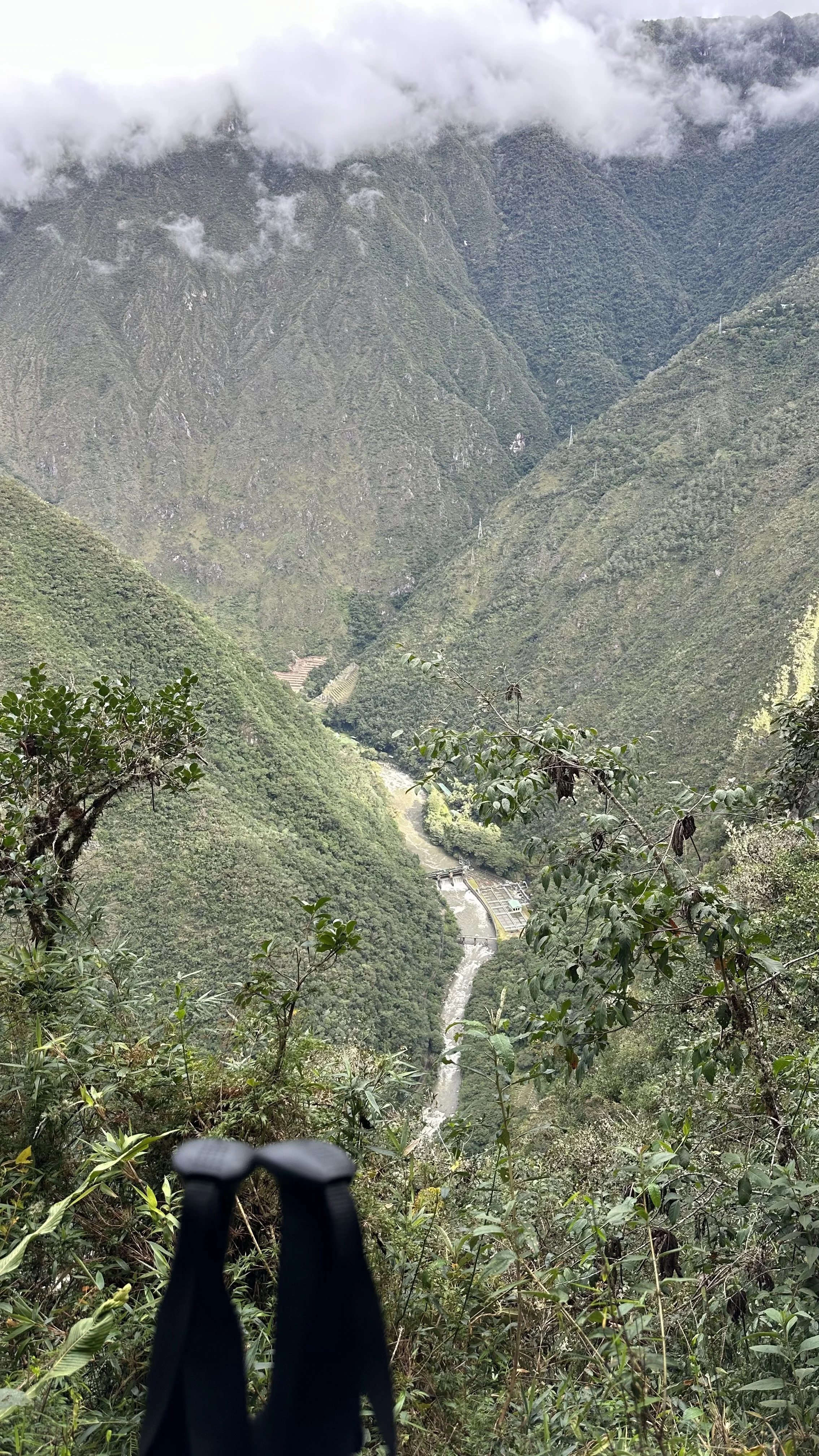 IMG_0975.jpeg