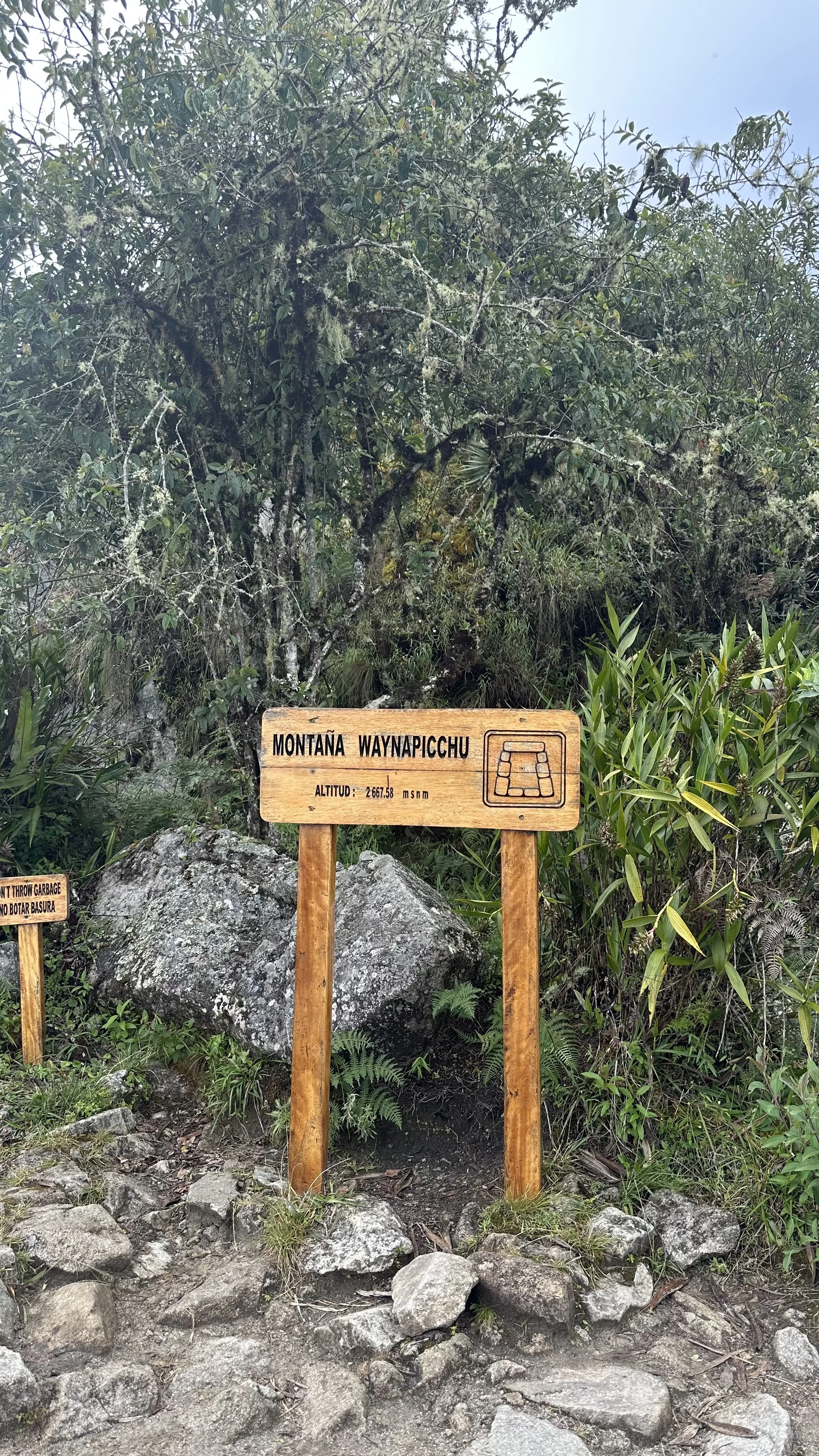 IMG_1117.jpeg