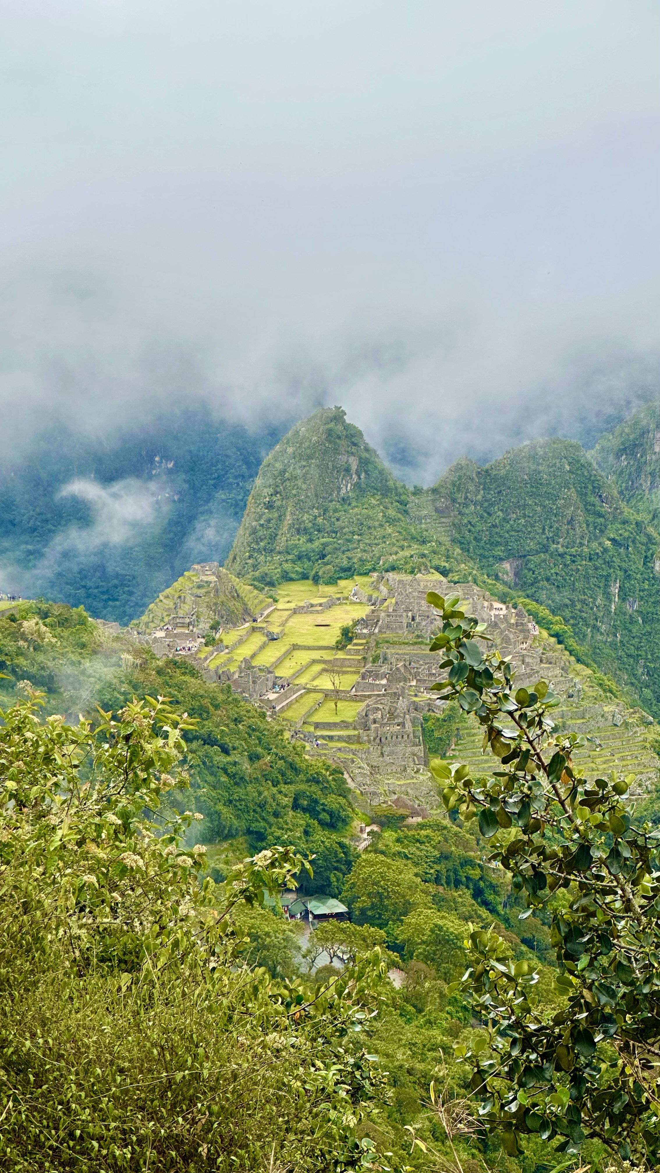 Day 3 — Cloud Forest to the Sun Gate