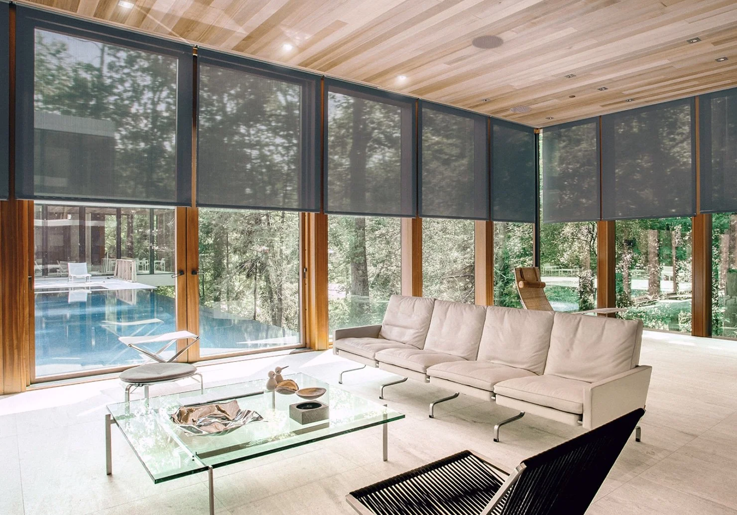 Modern living room with large windows, a white sectional sofa, a glass coffee table, and a view of tall trees outside.