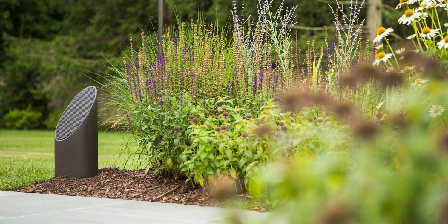 A garden with flowers and bushes, including daisies, with a black outdoor speaker placed on mulch beside a sidewalk.