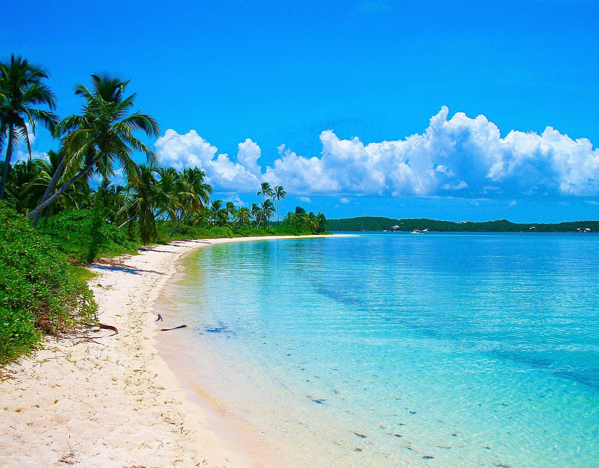 Tropical beach with white sand, clear blue water, green palm trees on the shoreline, and a partly cloudy sky.