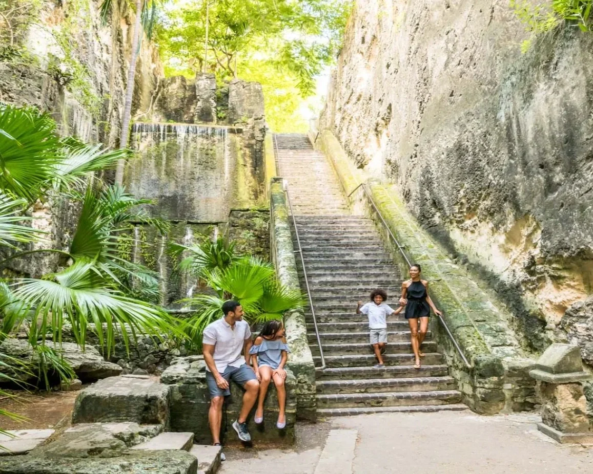 Family of four exploring a nature trail with a staircase surrounded by lush greenery and rocky cliffs.
