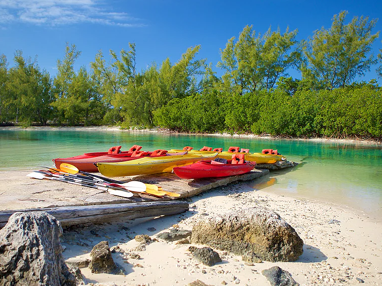 Colorful kayaks and paddles on a sandy beach next to clear turquoise water with lush green trees in the background under a bright blue sky.