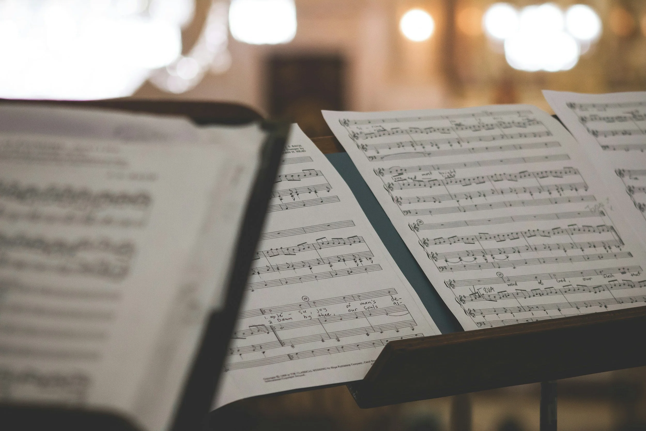 Forgottonia Chamber Music Festival