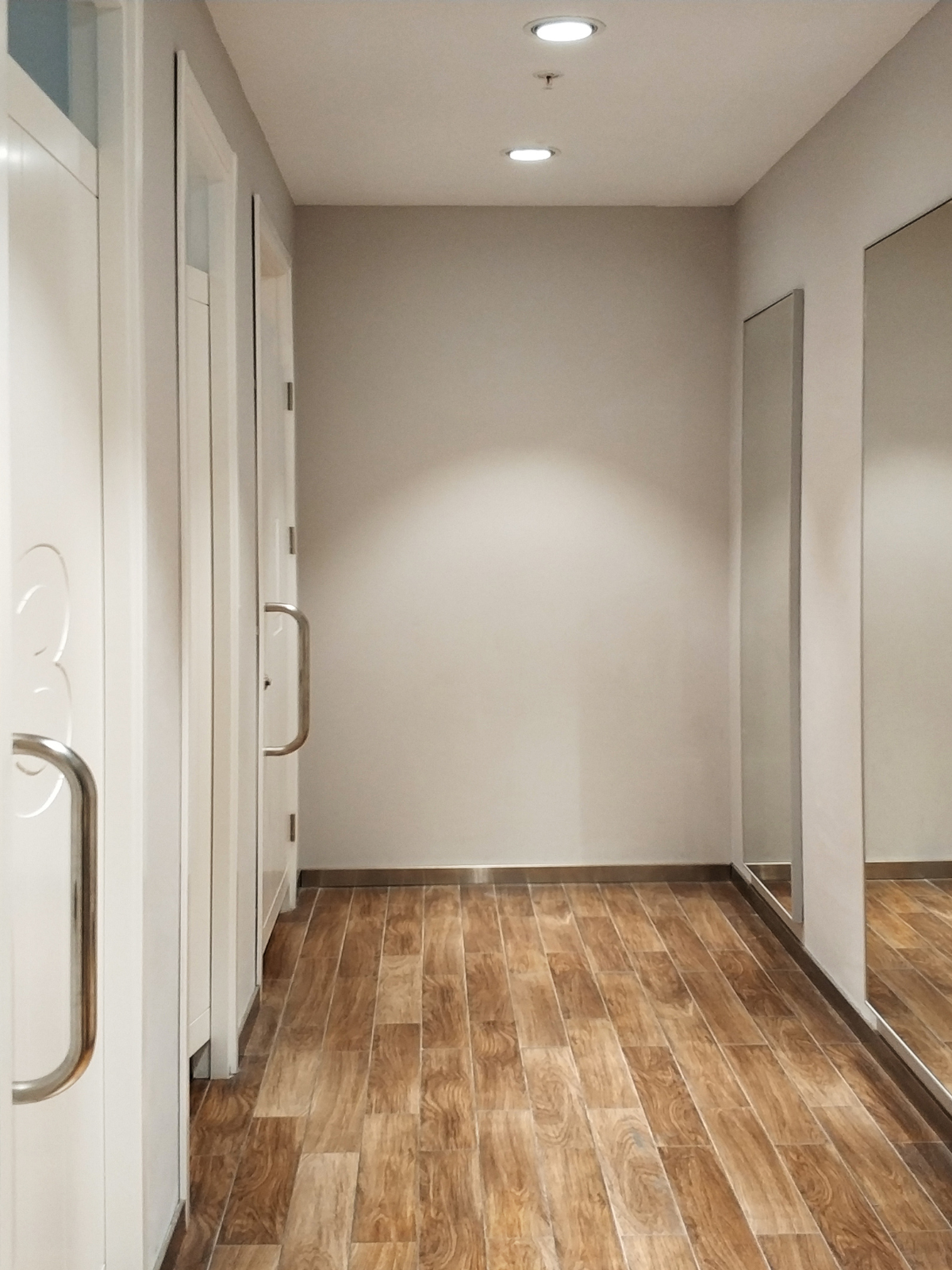 Empty hallway with brown wooden flooring, white walls, and white doors with metal handles.