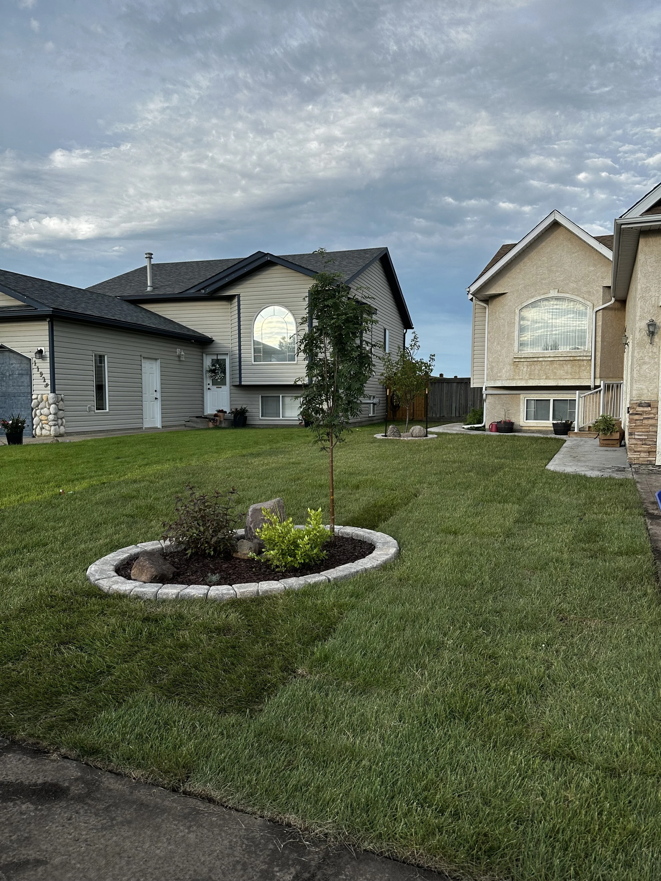 A suburban front yard with well-maintained green grass, a small planted tree in a round stone-edged bed, and two neighboring houses with beige and gray exteriors under a partly cloudy sky.