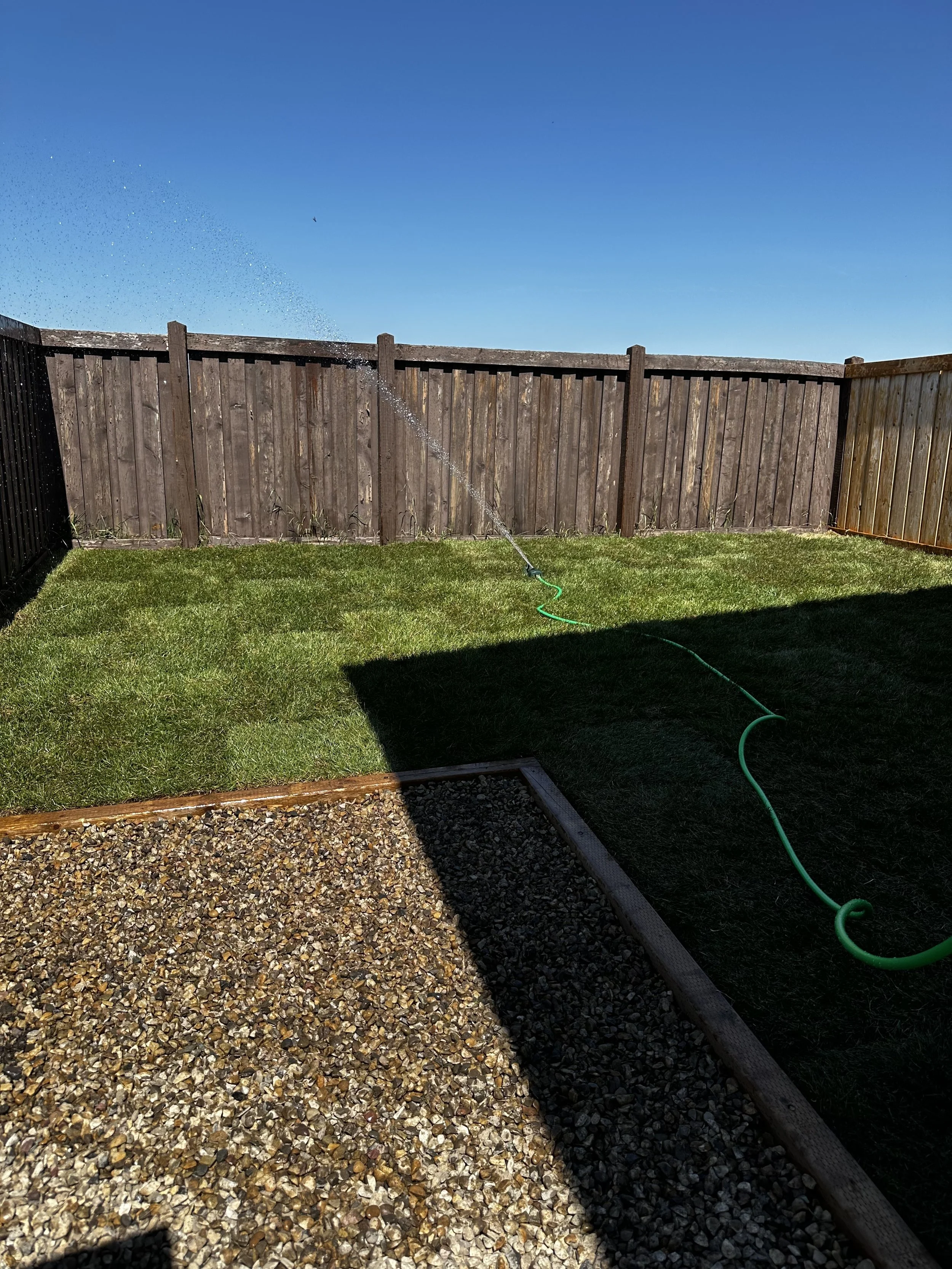 A backyard with a green lawn, a gravel area, a wooden fence, and a blue sky. A garden hose is lying on the grass, spraying water into the air.