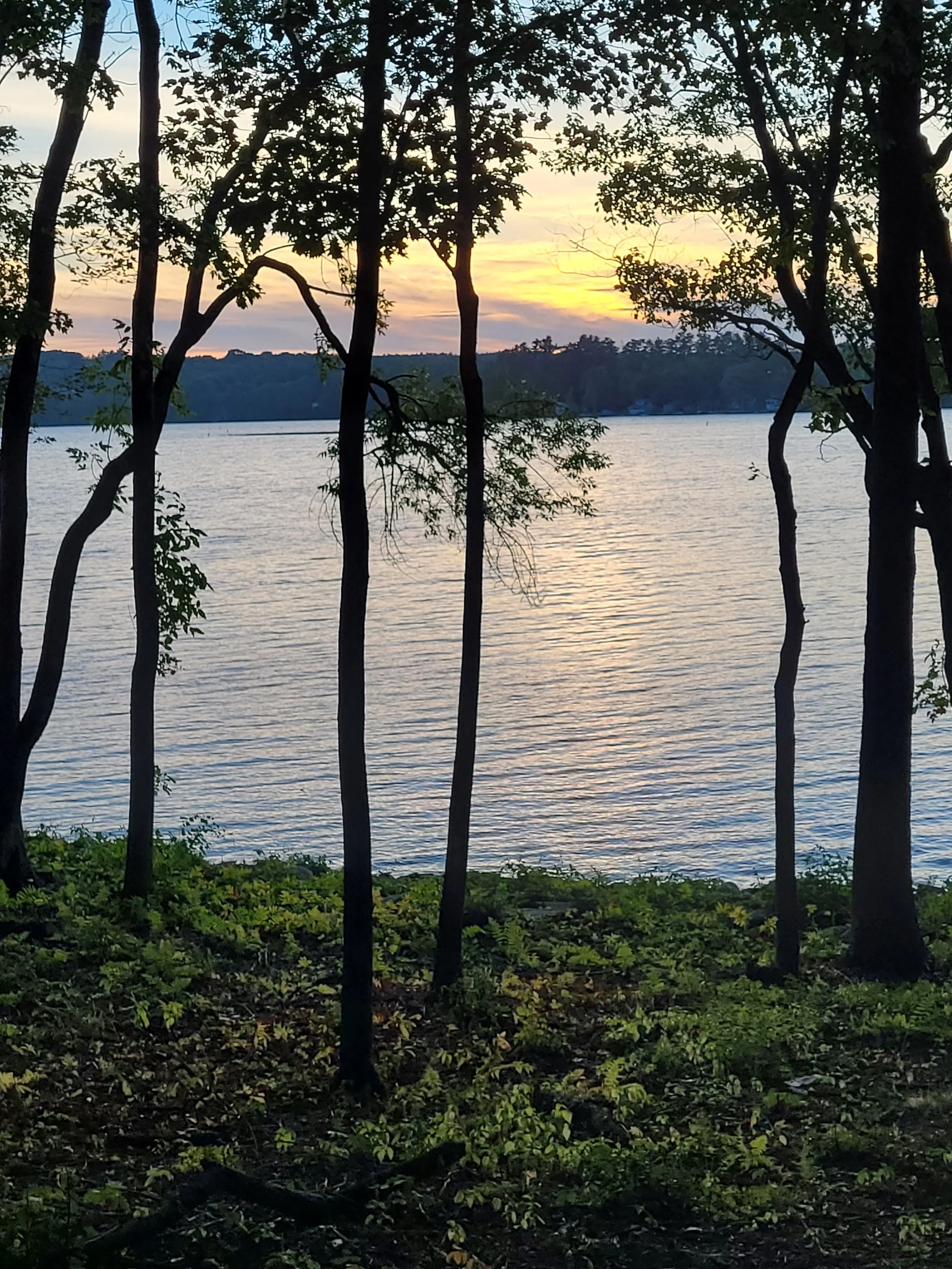 20260912_184529.jpg