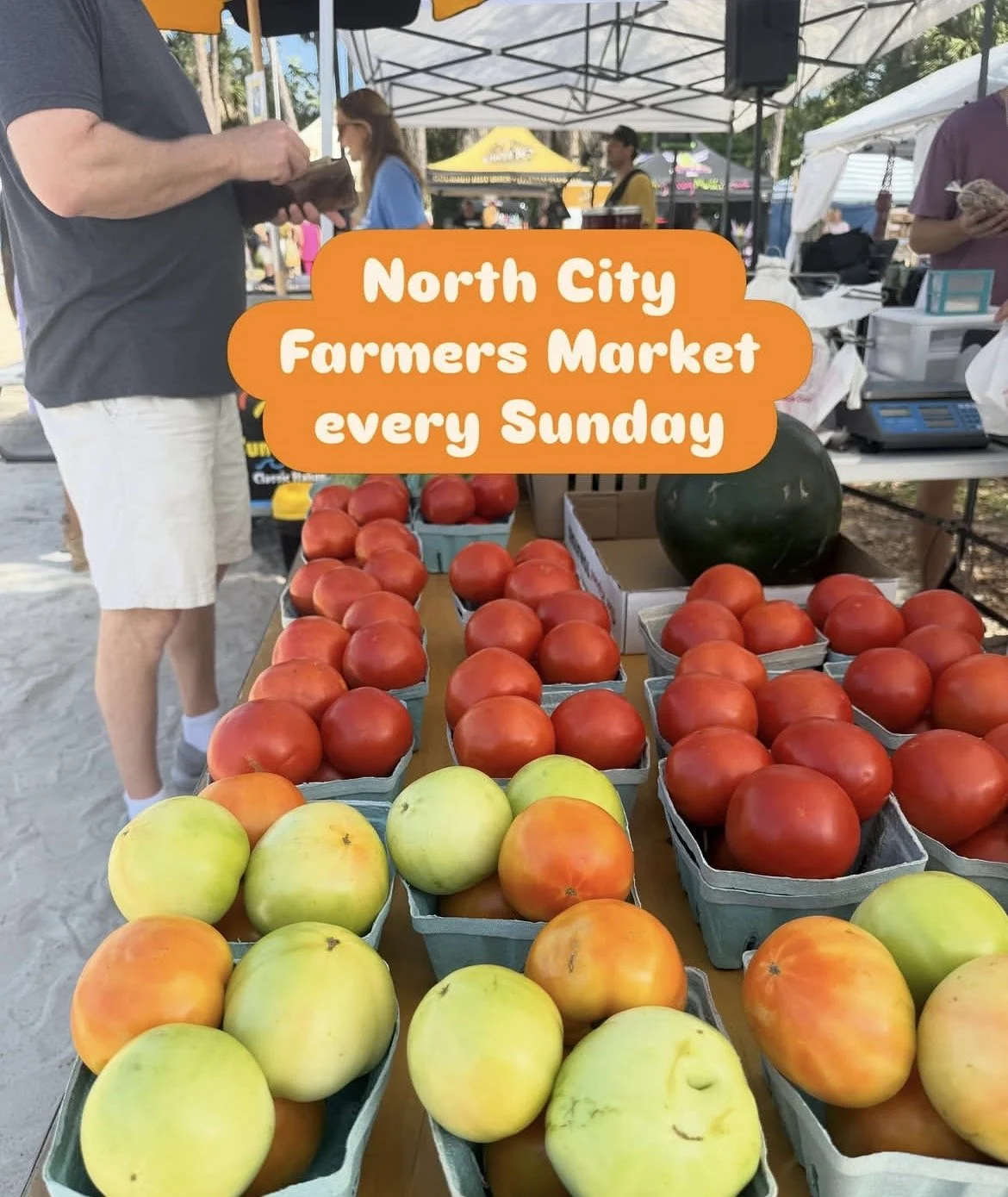 Fresh tomatoes and melons displayed on a table at the North City Farmers Market, which is held every Sunday outdoors under tents with vendors and shoppers in the background.