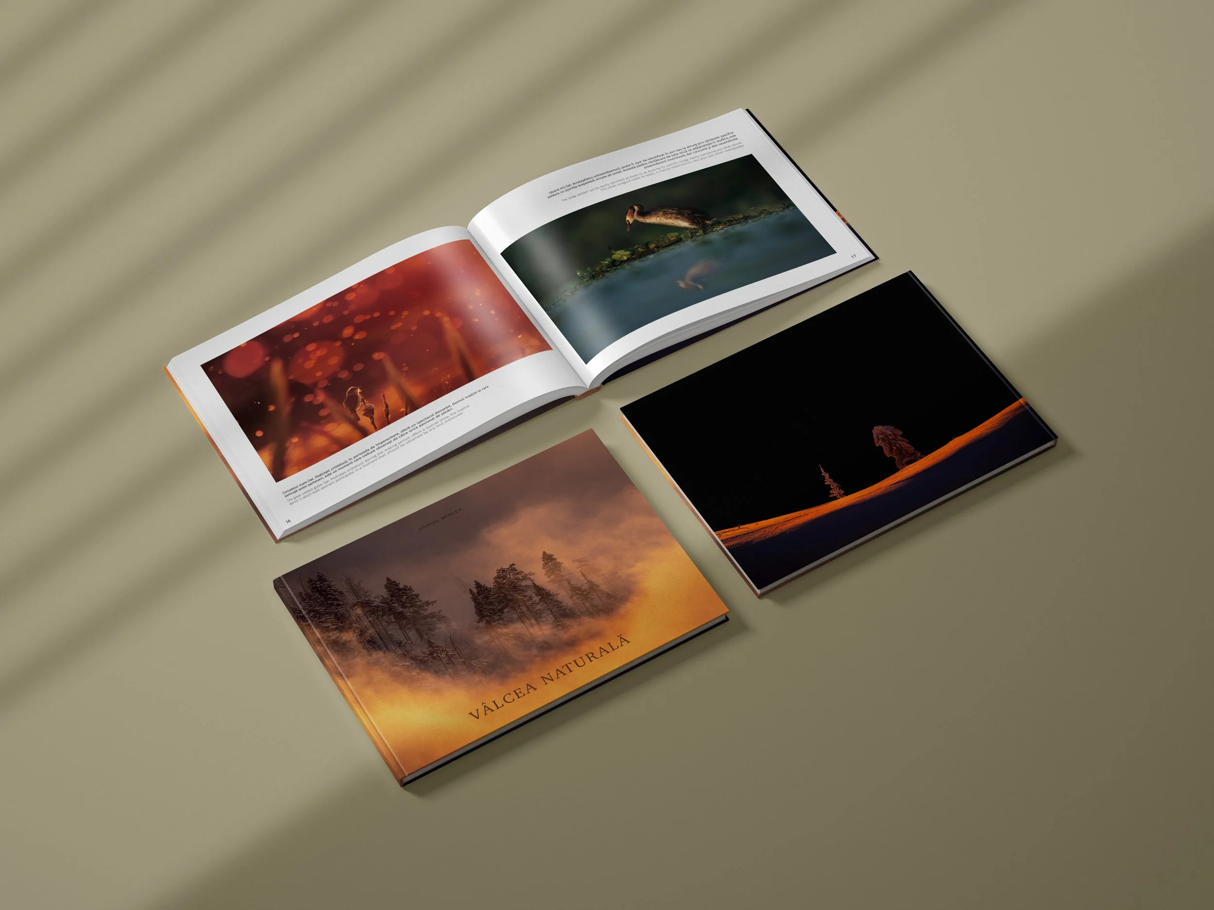A sneak peak of the book Valcea Naturala, the covers and the interior design