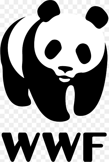 png-transparent-wwf-hd-logo-thumbnail.png