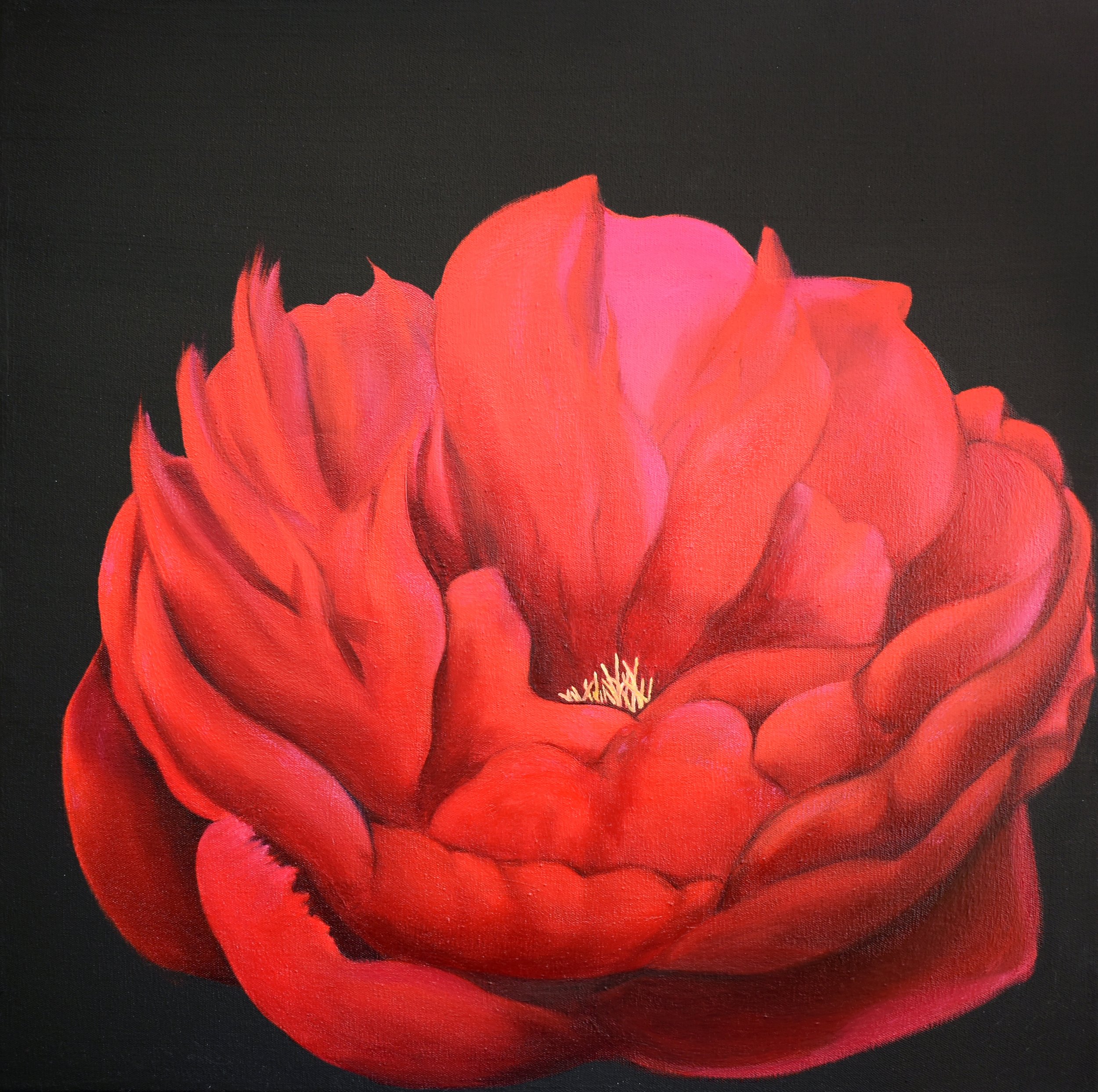 Red Peony