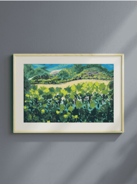 California vineyard