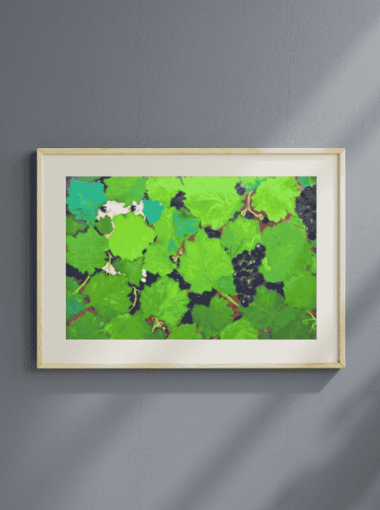 Harvest my vineyard