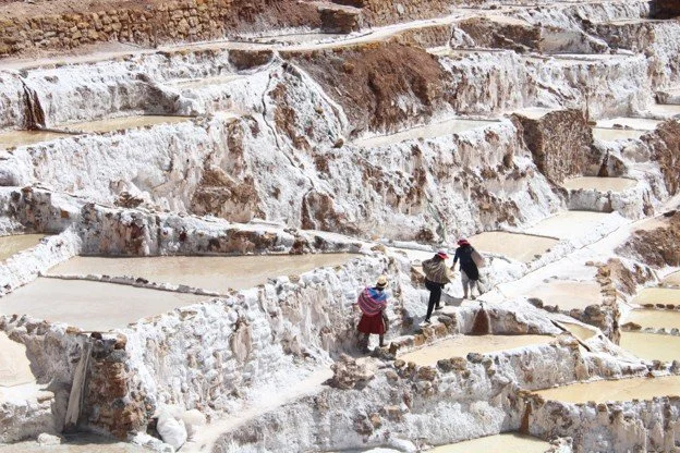 + Scholastic Gold Key